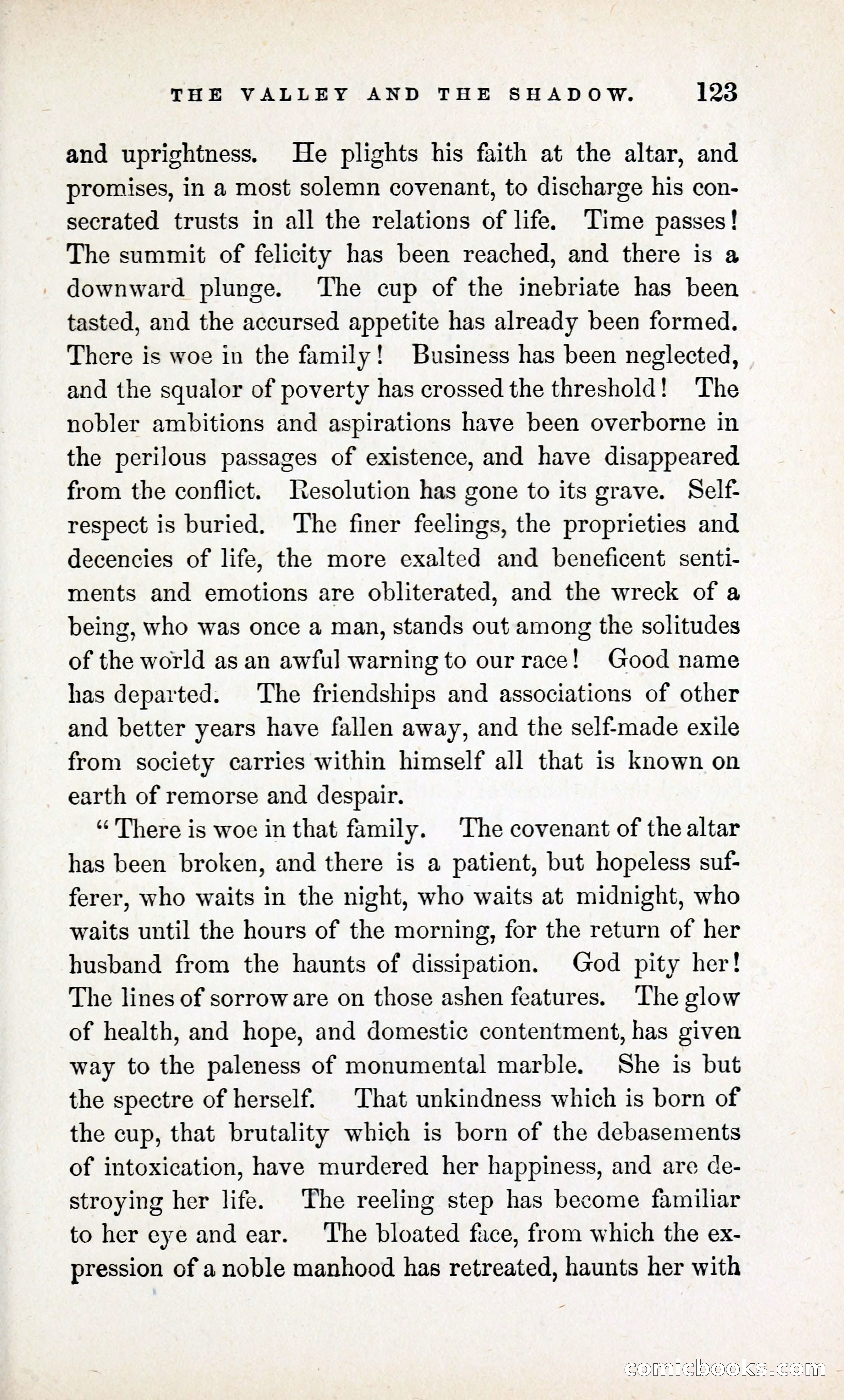 The Valley and the Shadow (1868) — page 132 of 349