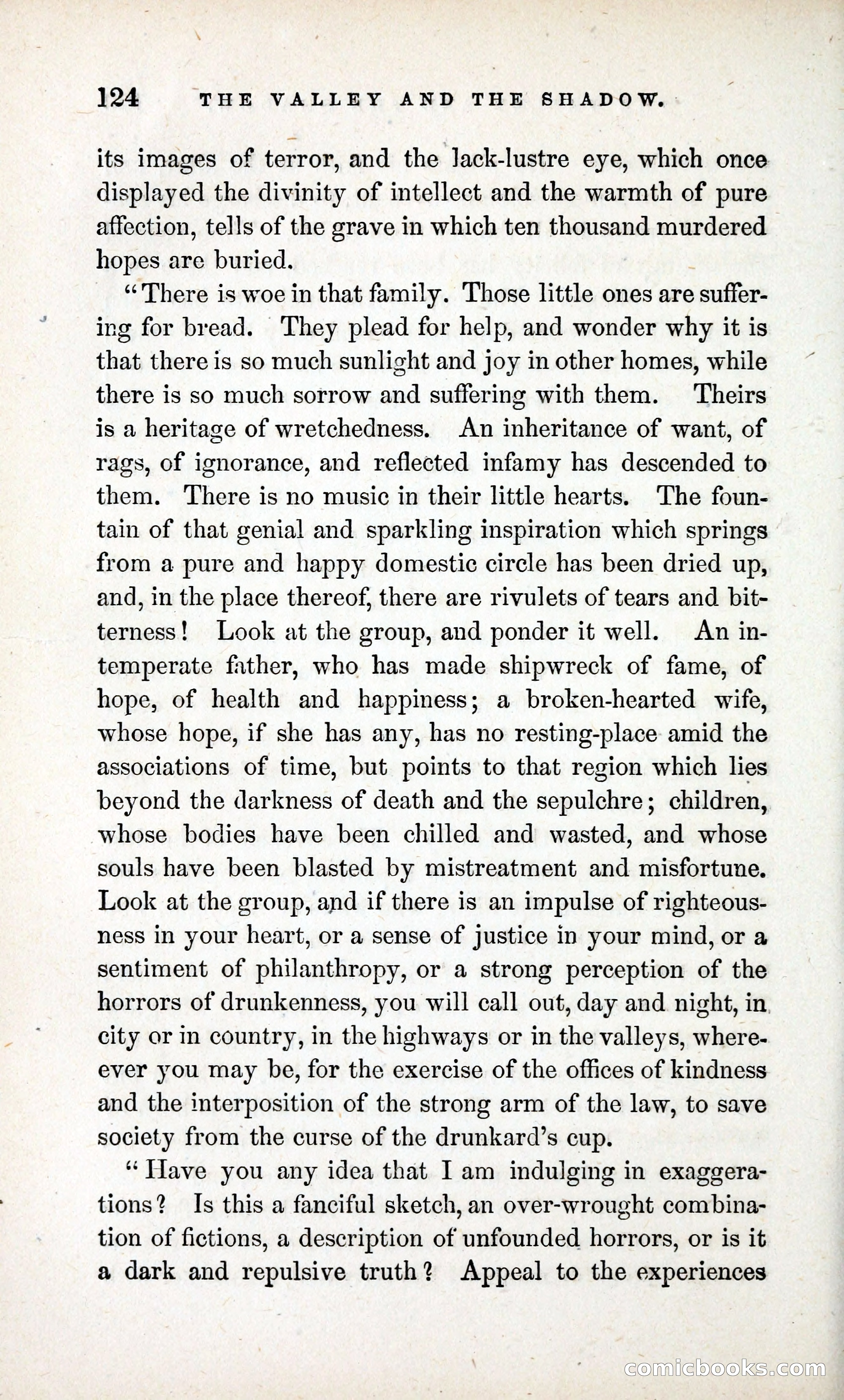The Valley and the Shadow (1868) — page 133 of 349