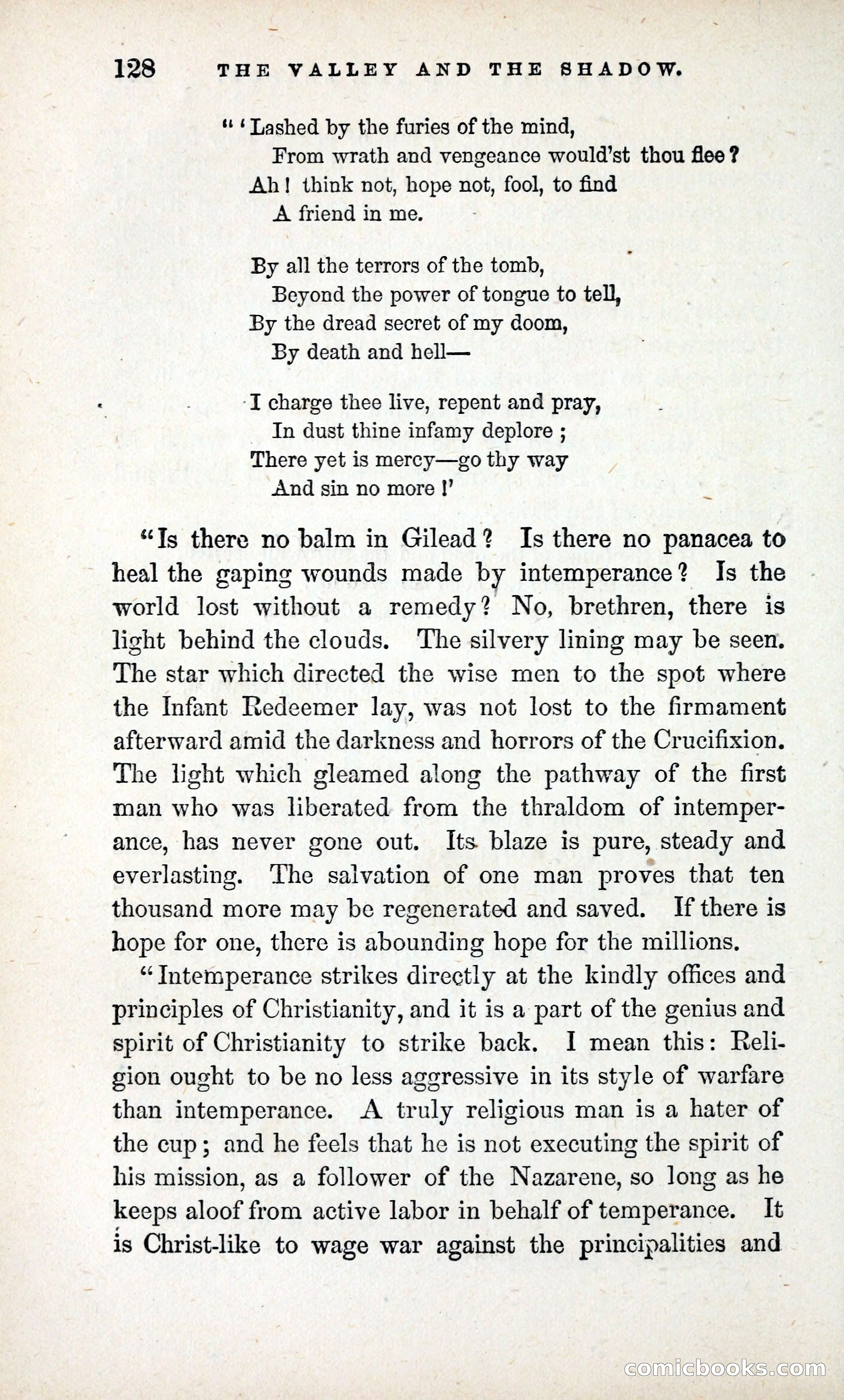The Valley and the Shadow (1868) — page 137 of 349