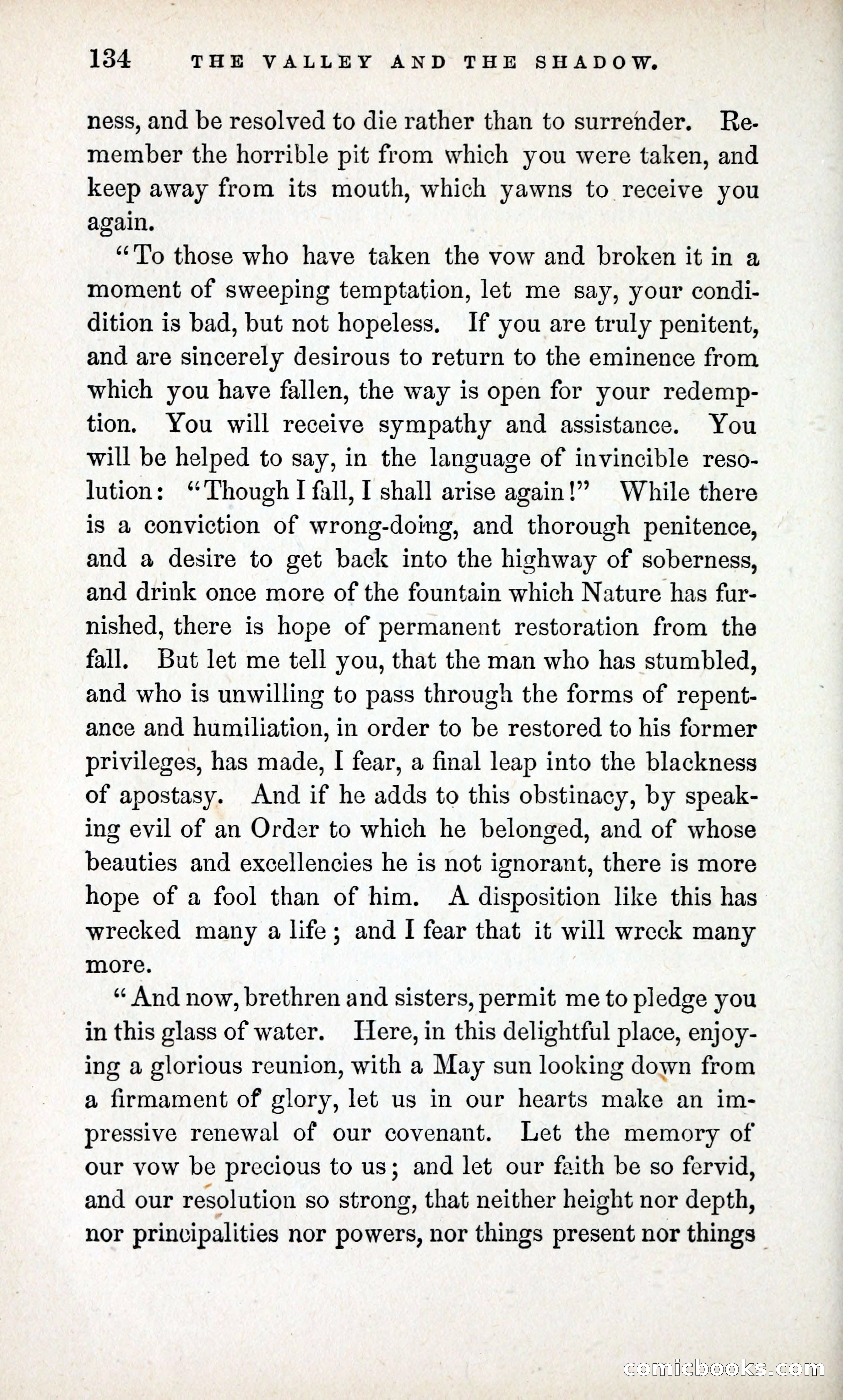 The Valley and the Shadow (1868) — page 143 of 349