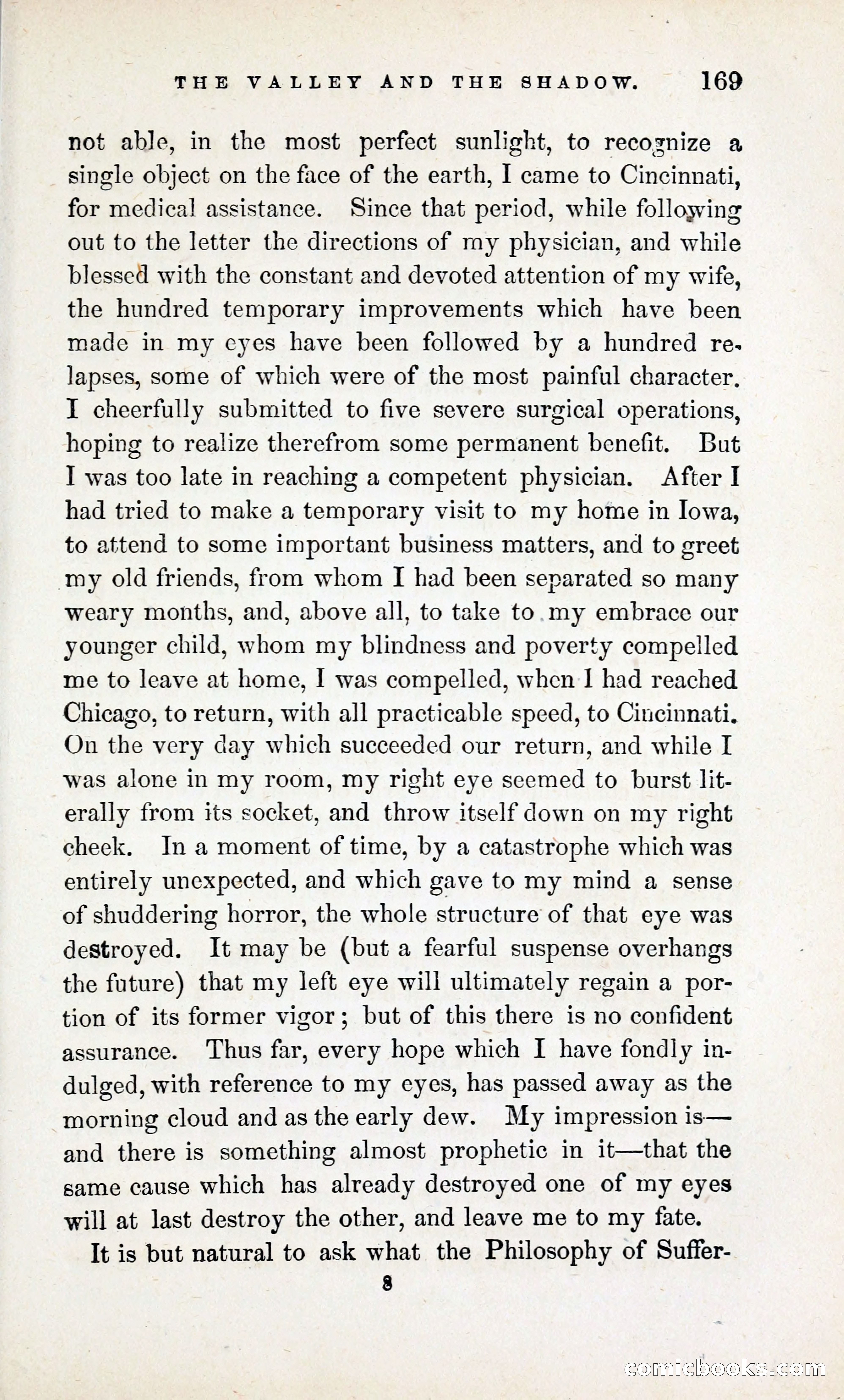 The Valley and the Shadow (1868) — page 178 of 349
