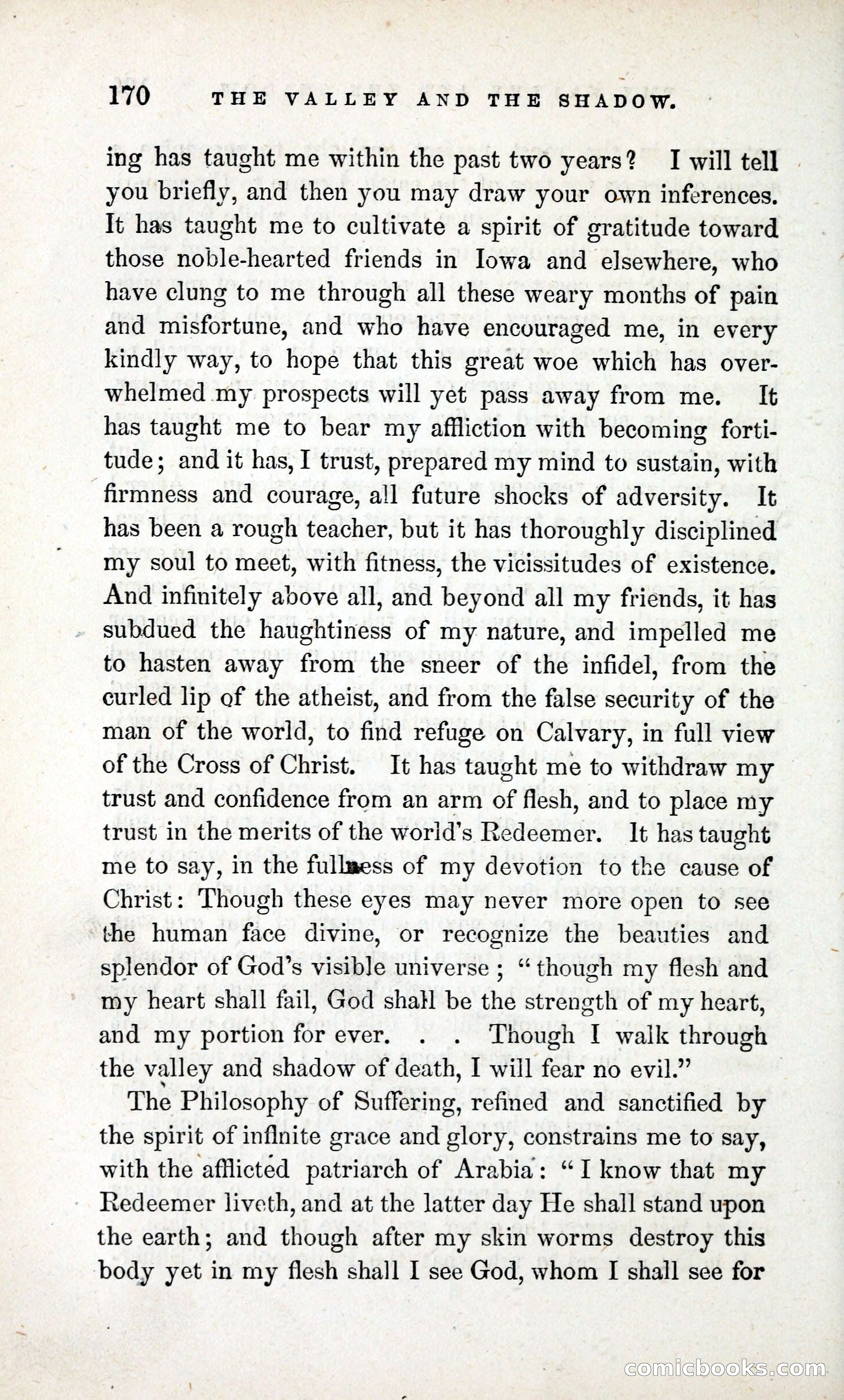 The Valley and the Shadow (1868) — page 179 of 349