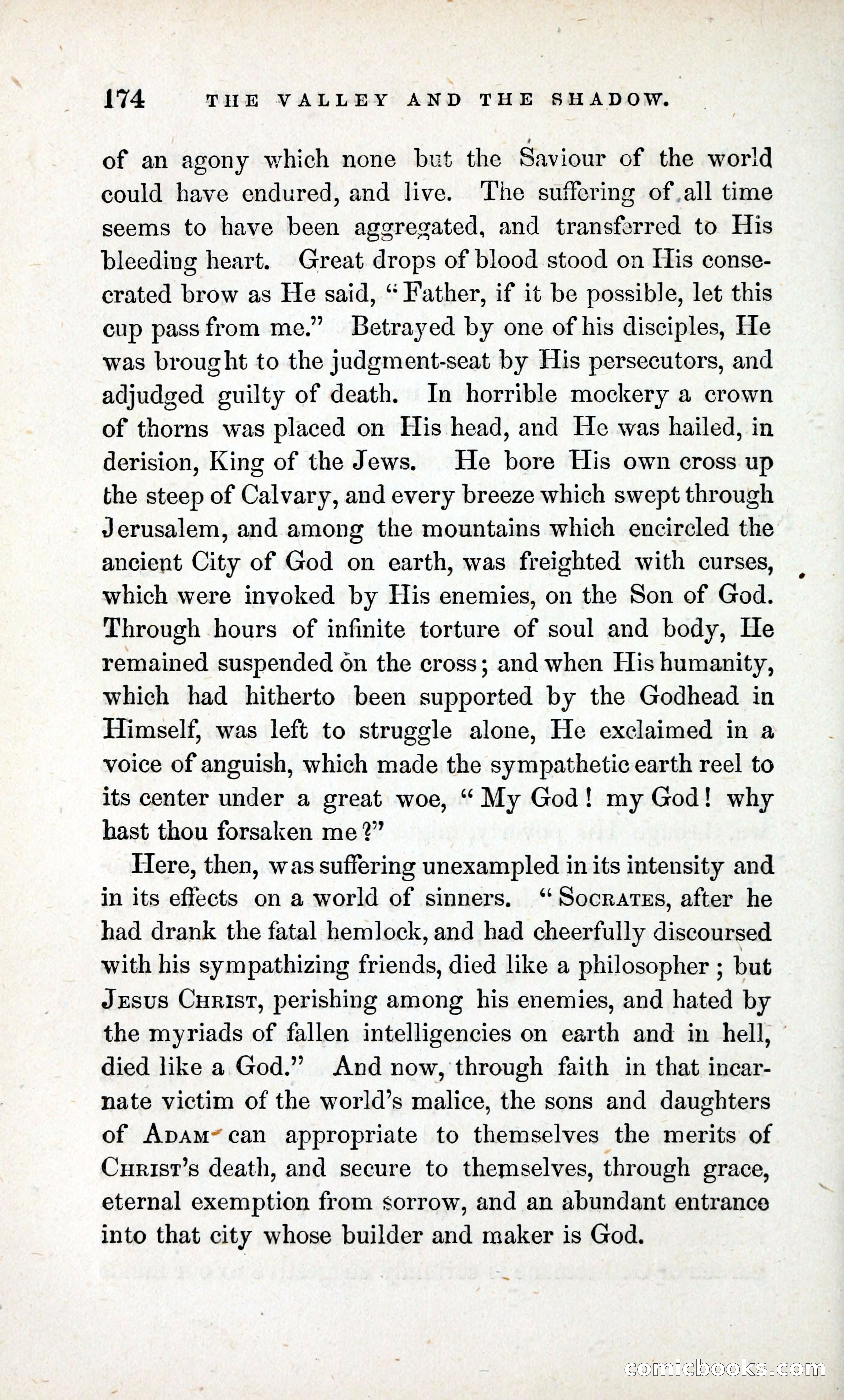The Valley and the Shadow (1868) — page 183 of 349