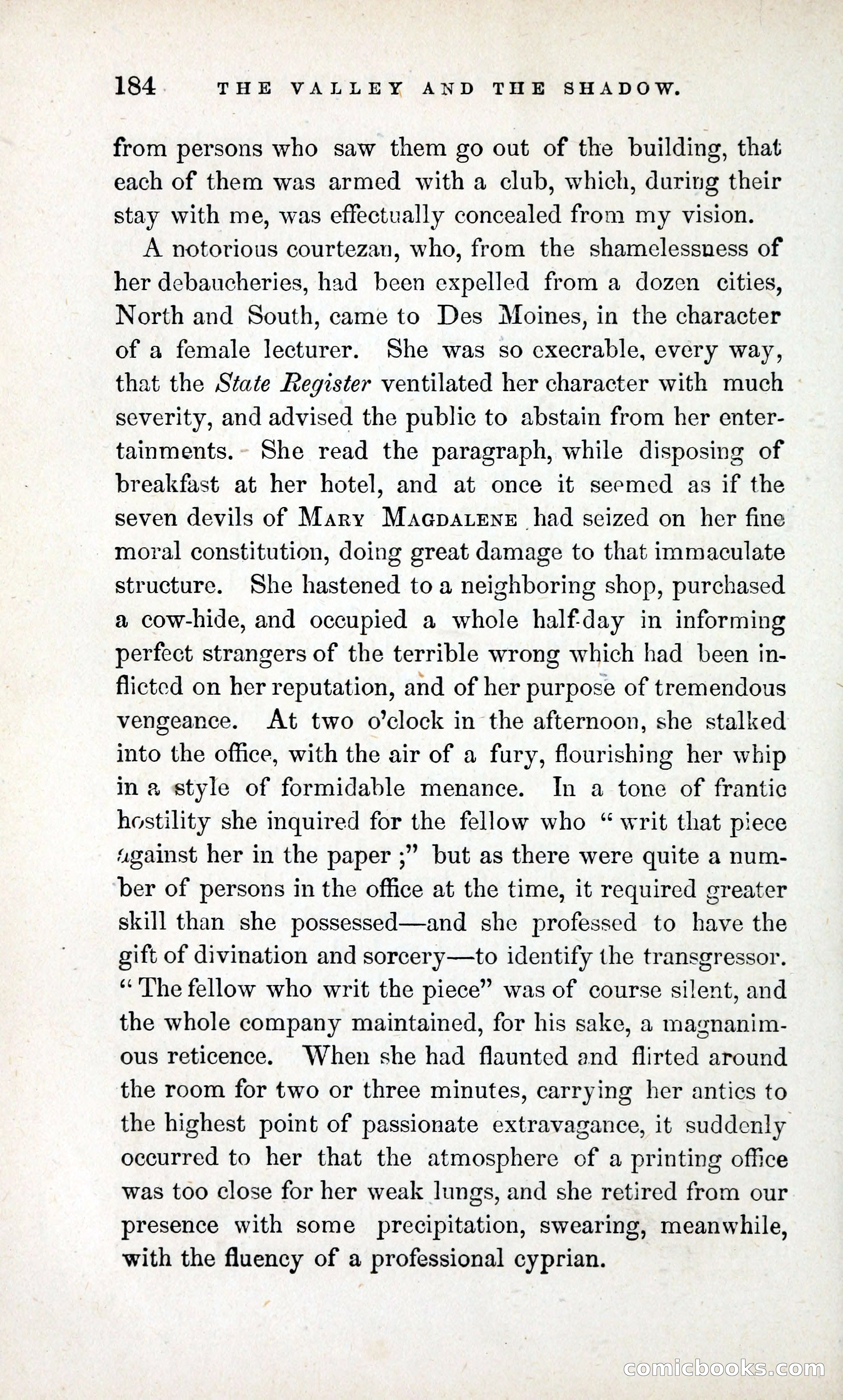 The Valley and the Shadow (1868) — page 193 of 349
