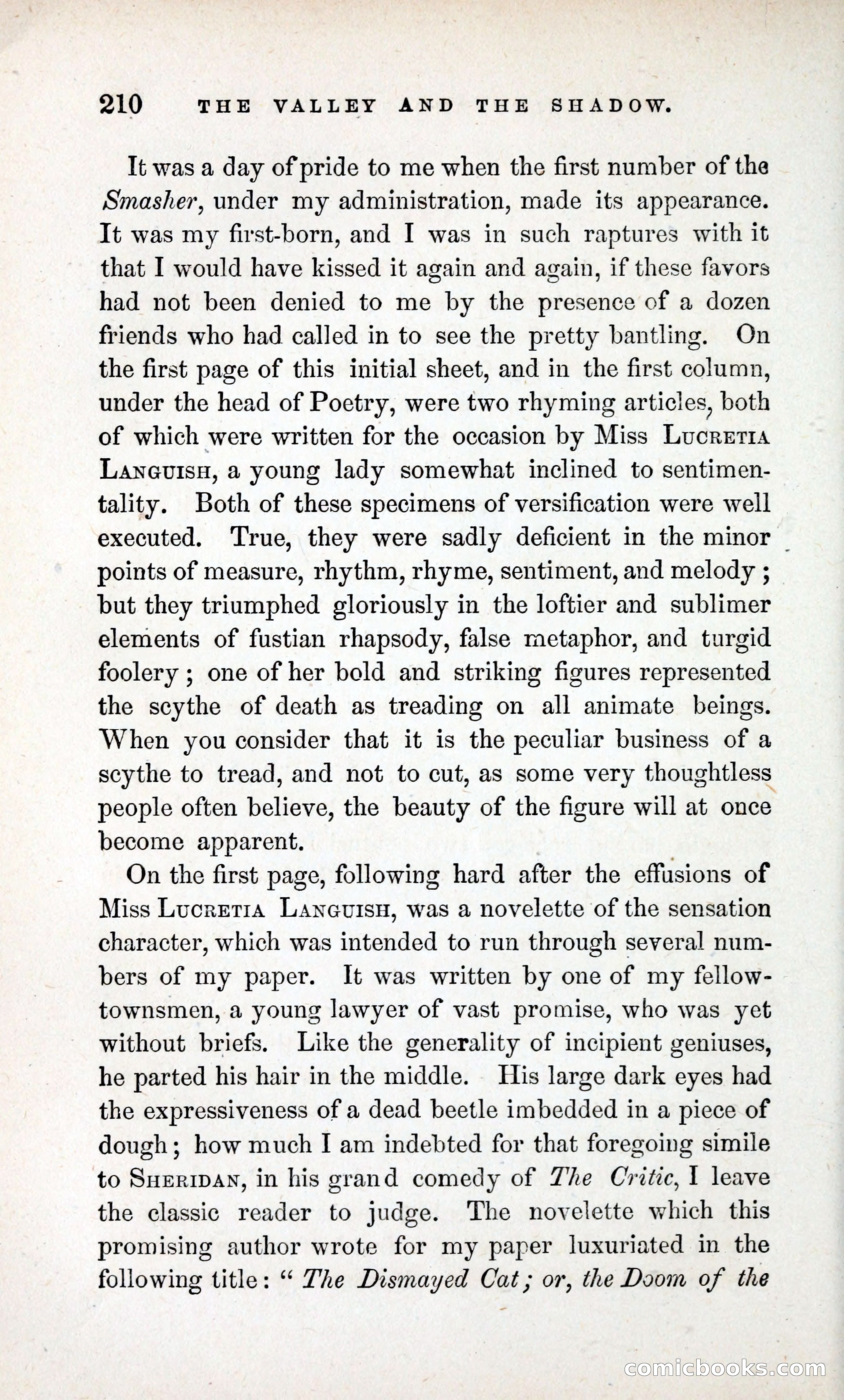 The Valley and the Shadow (1868) — page 219 of 349