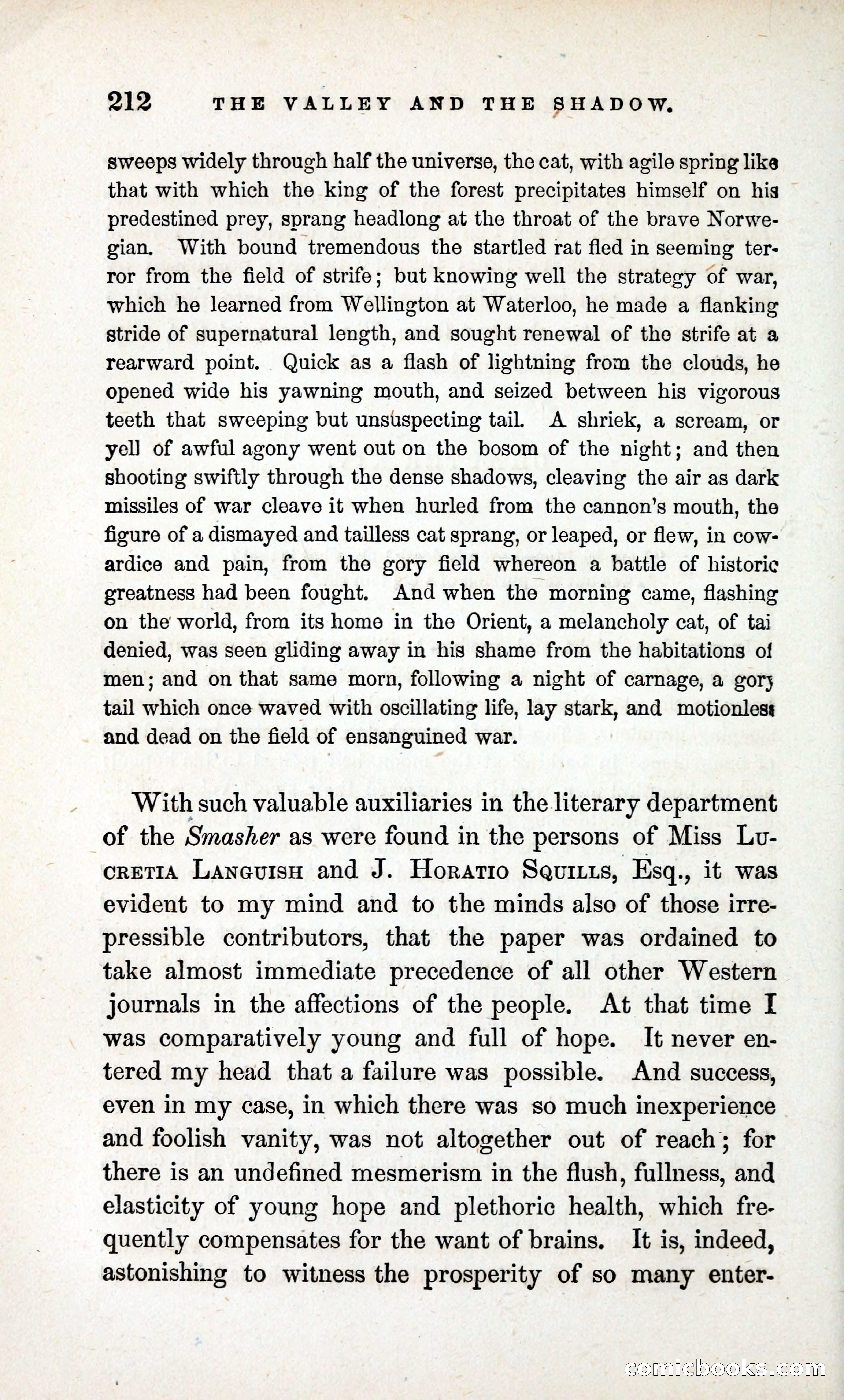 The Valley and the Shadow (1868) — page 221 of 349