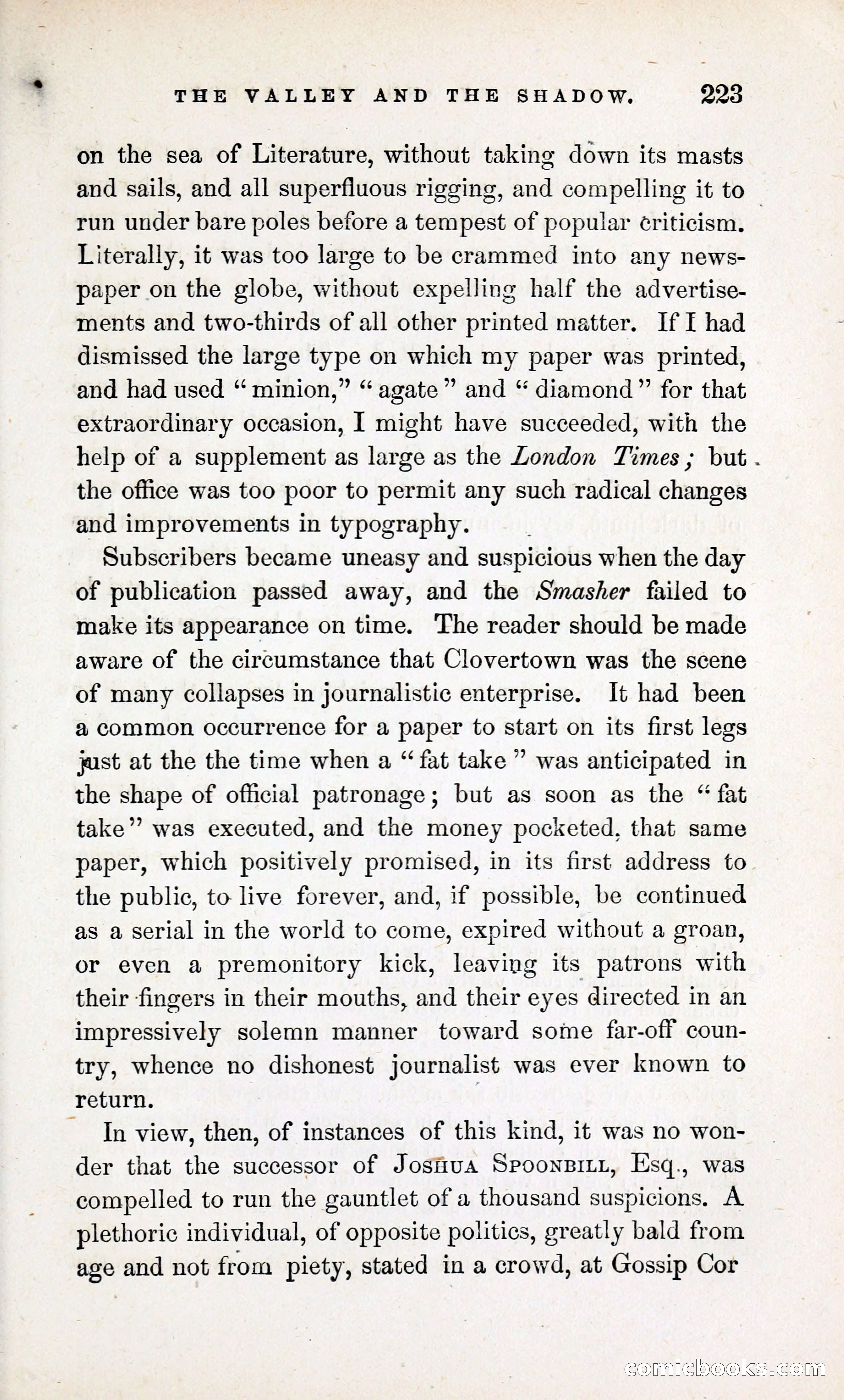 The Valley and the Shadow (1868) — page 232 of 349