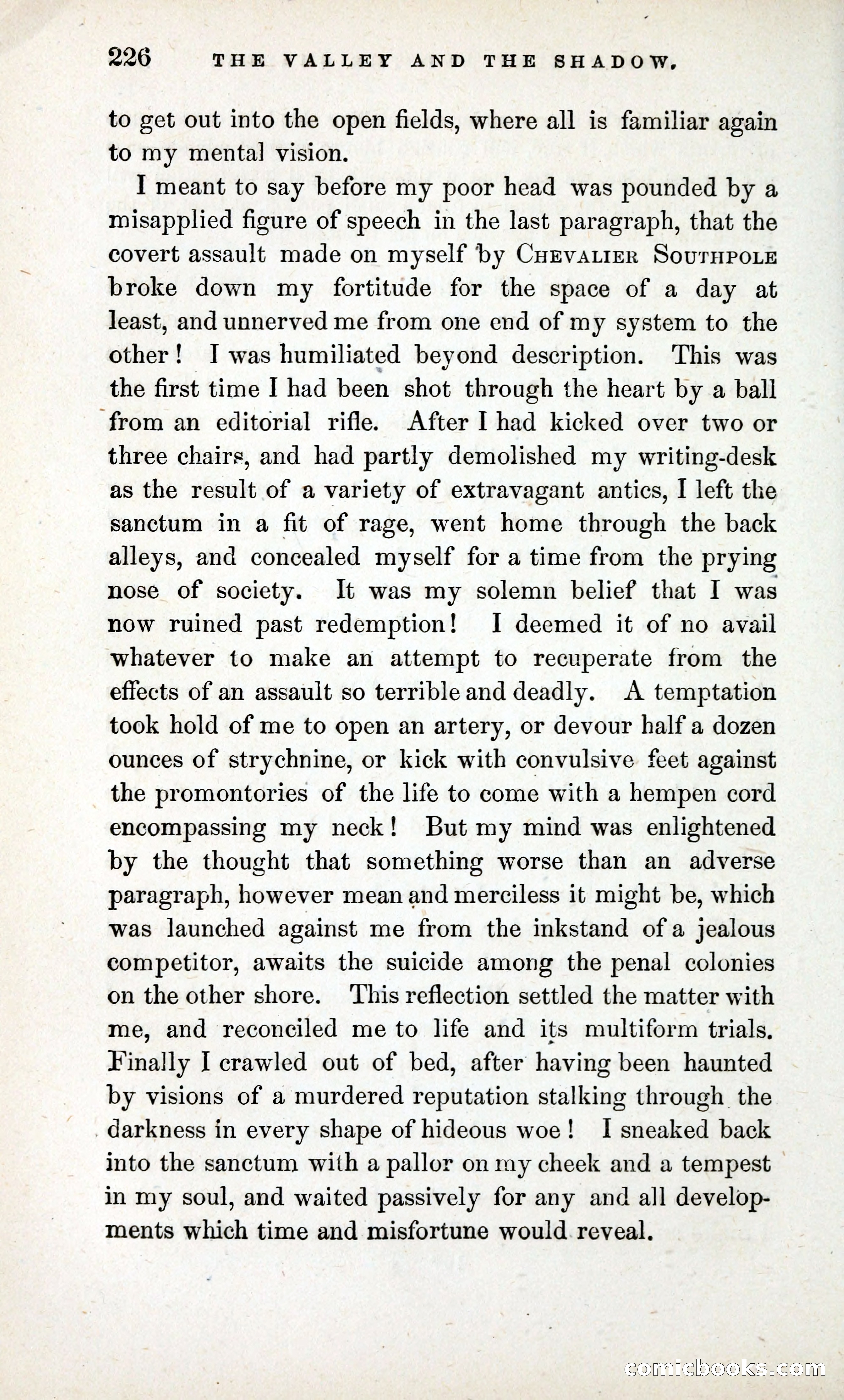 The Valley and the Shadow (1868) — page 235 of 349