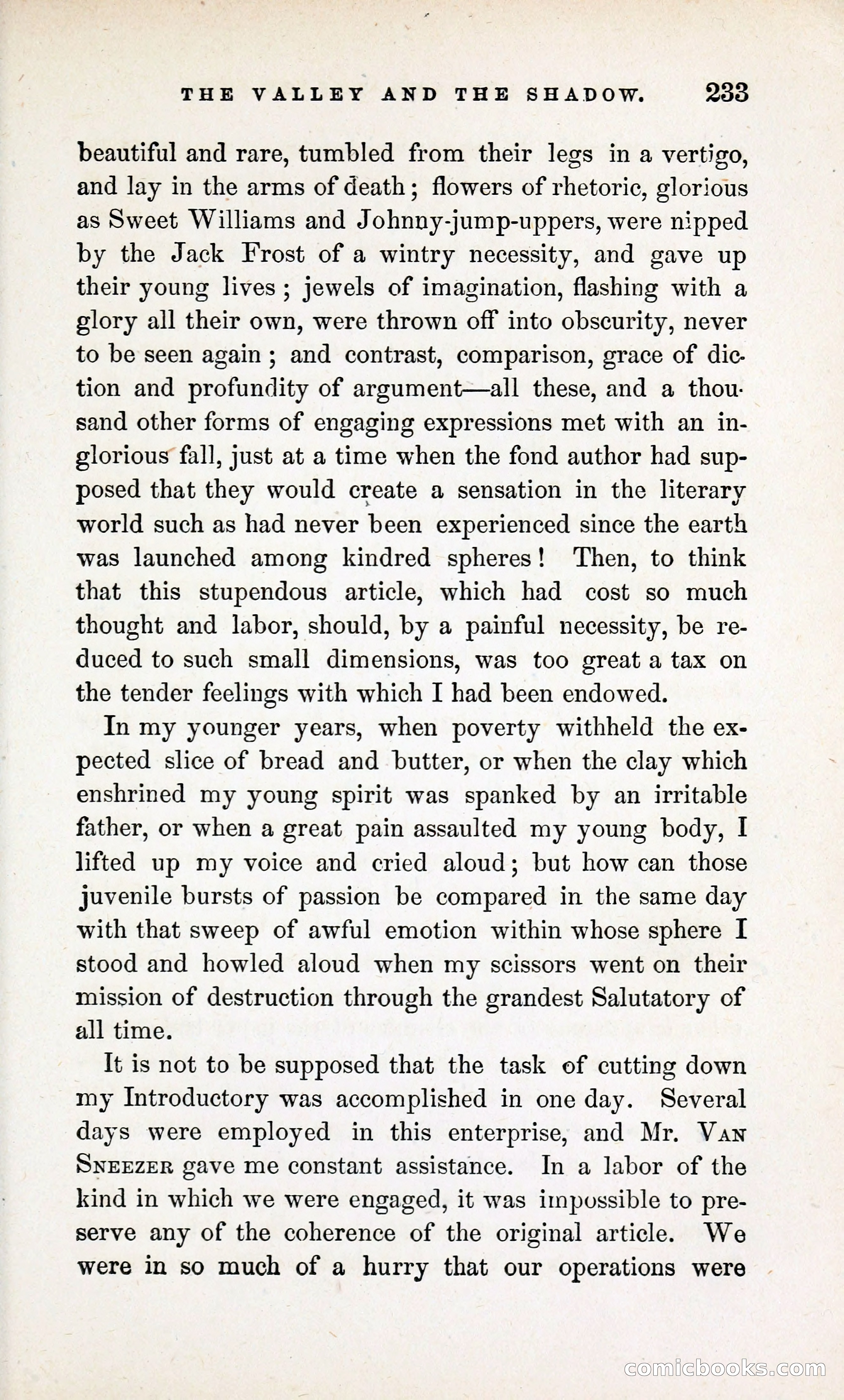 The Valley and the Shadow (1868) — page 242 of 349