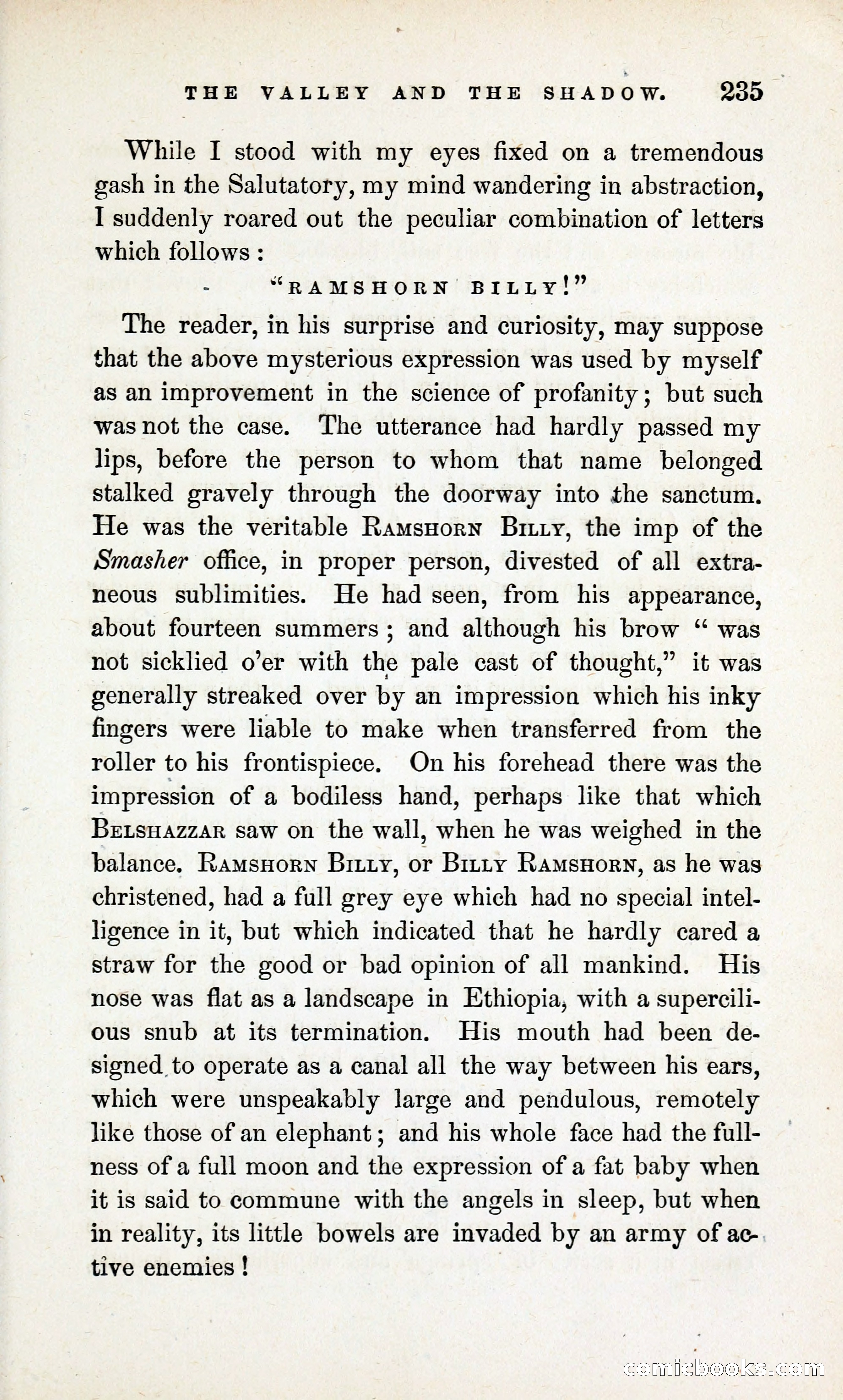 The Valley and the Shadow (1868) — page 244 of 349