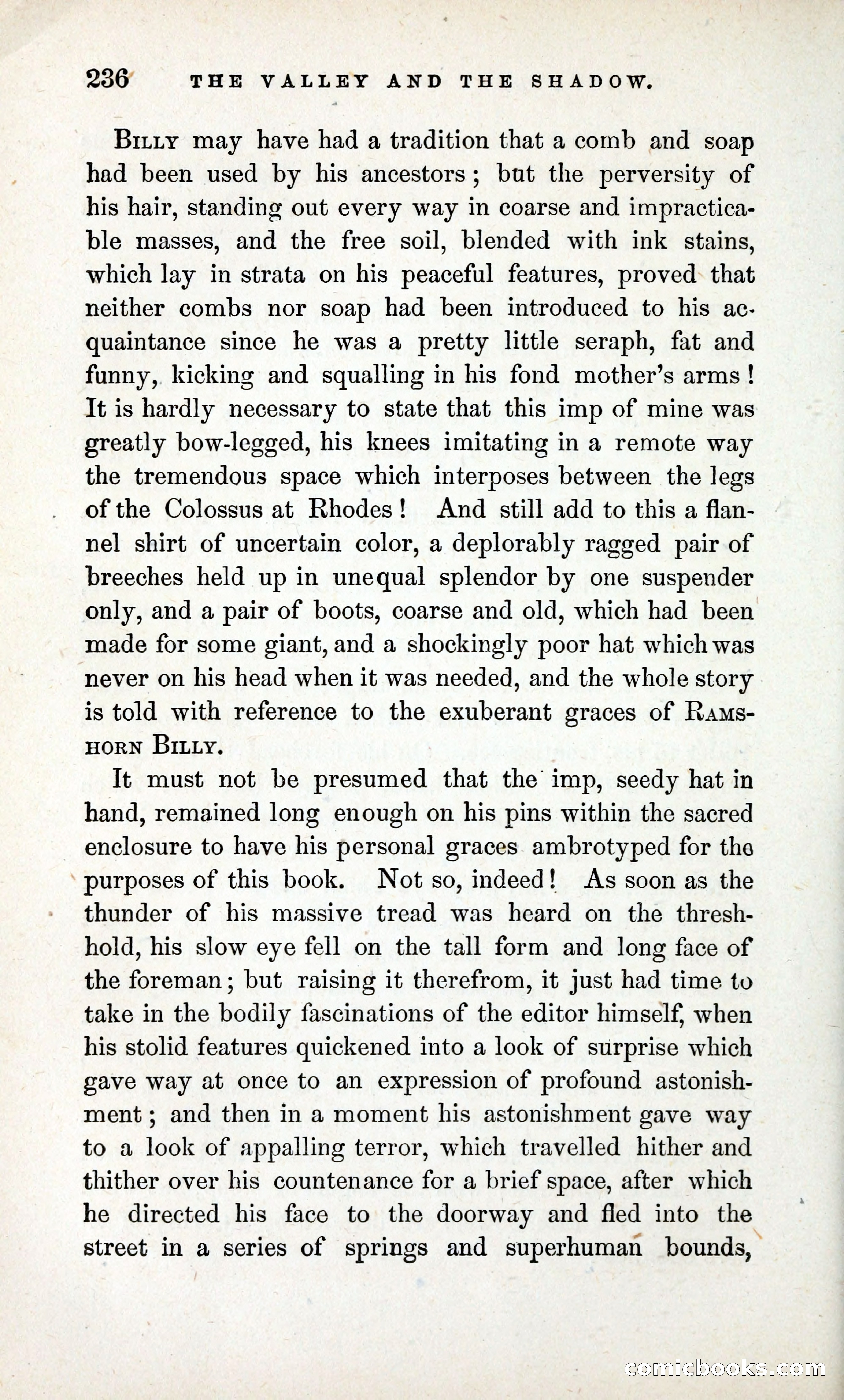 The Valley and the Shadow (1868) — page 245 of 349