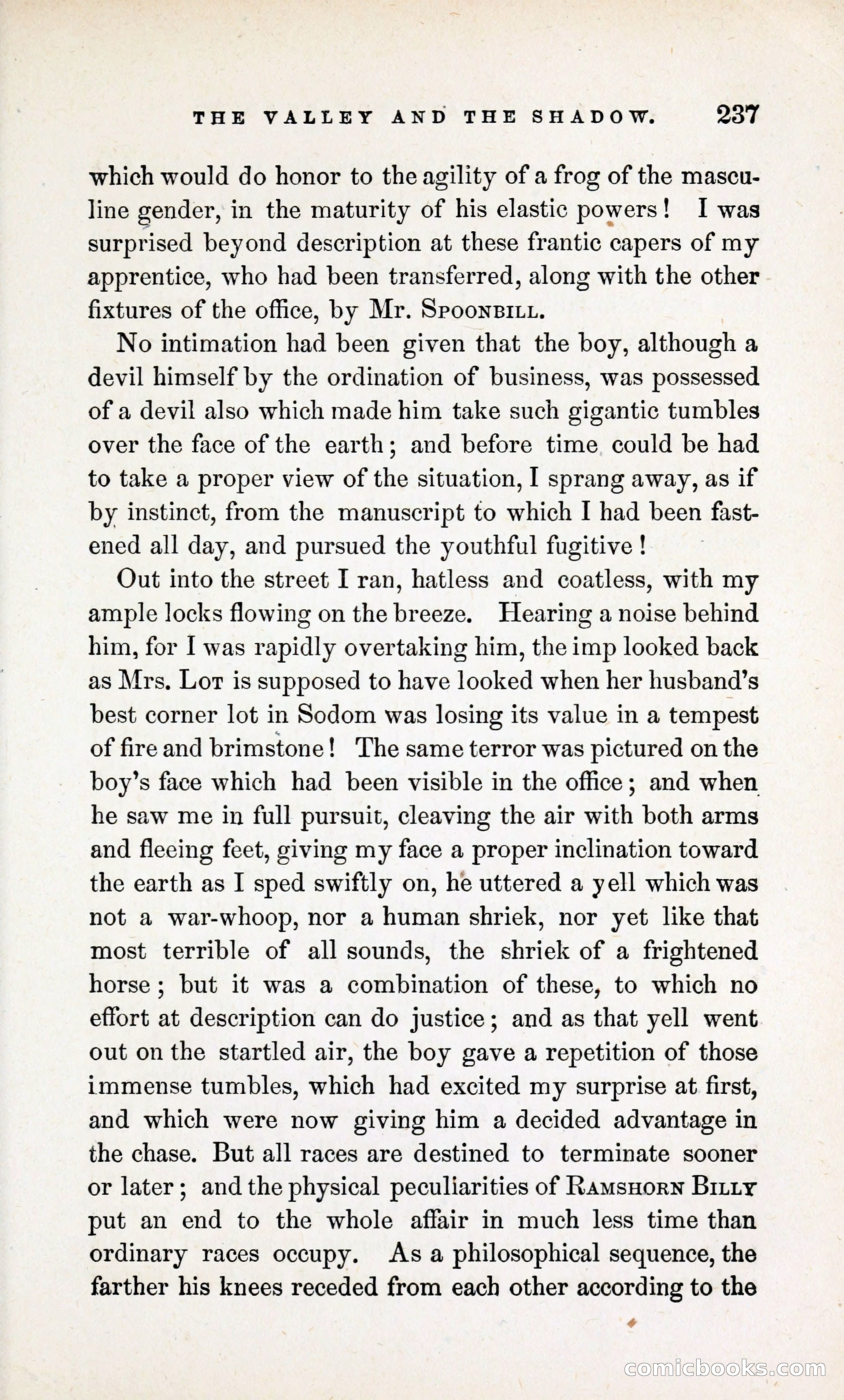 The Valley and the Shadow (1868) — page 246 of 349