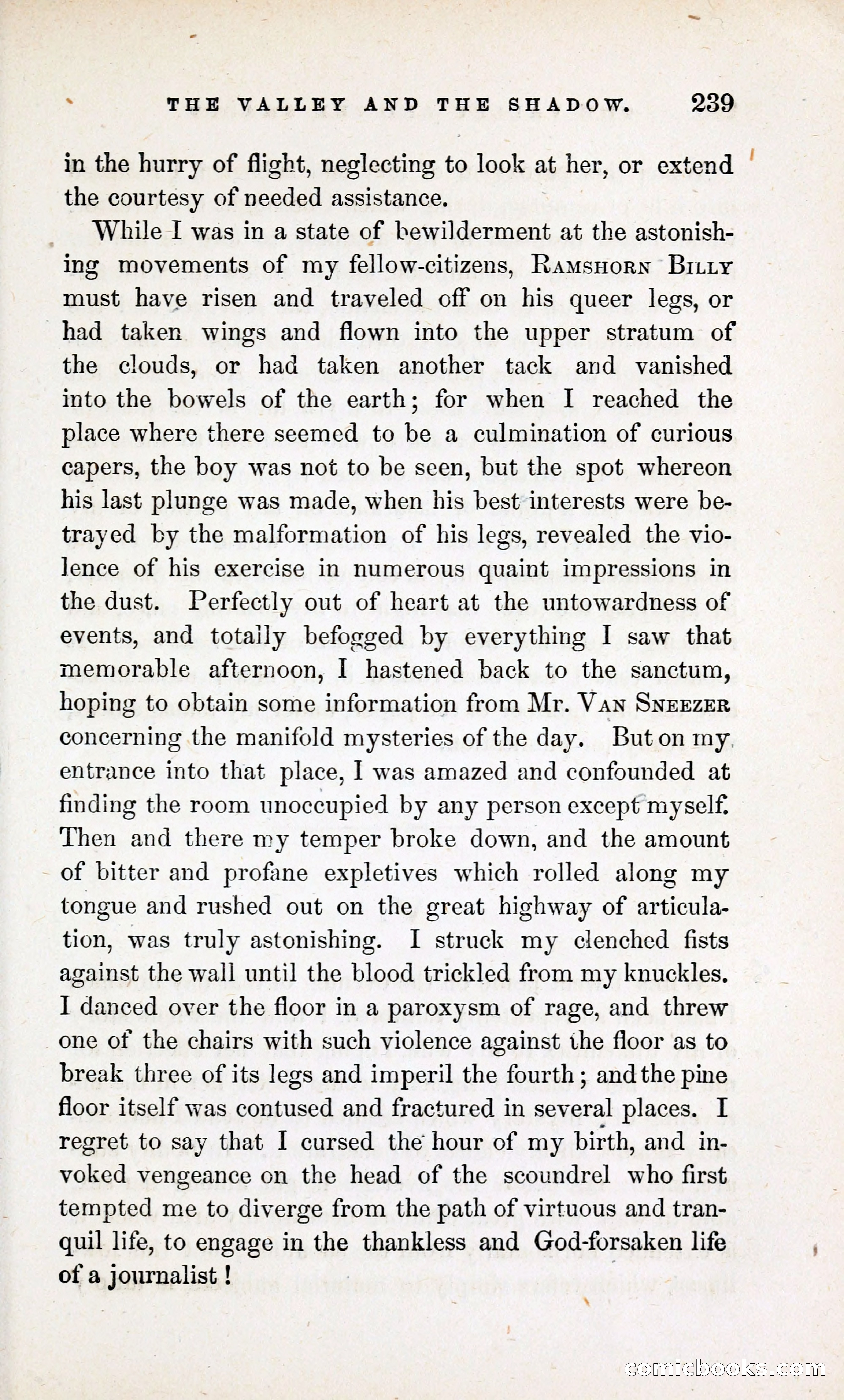 The Valley and the Shadow (1868) — page 248 of 349