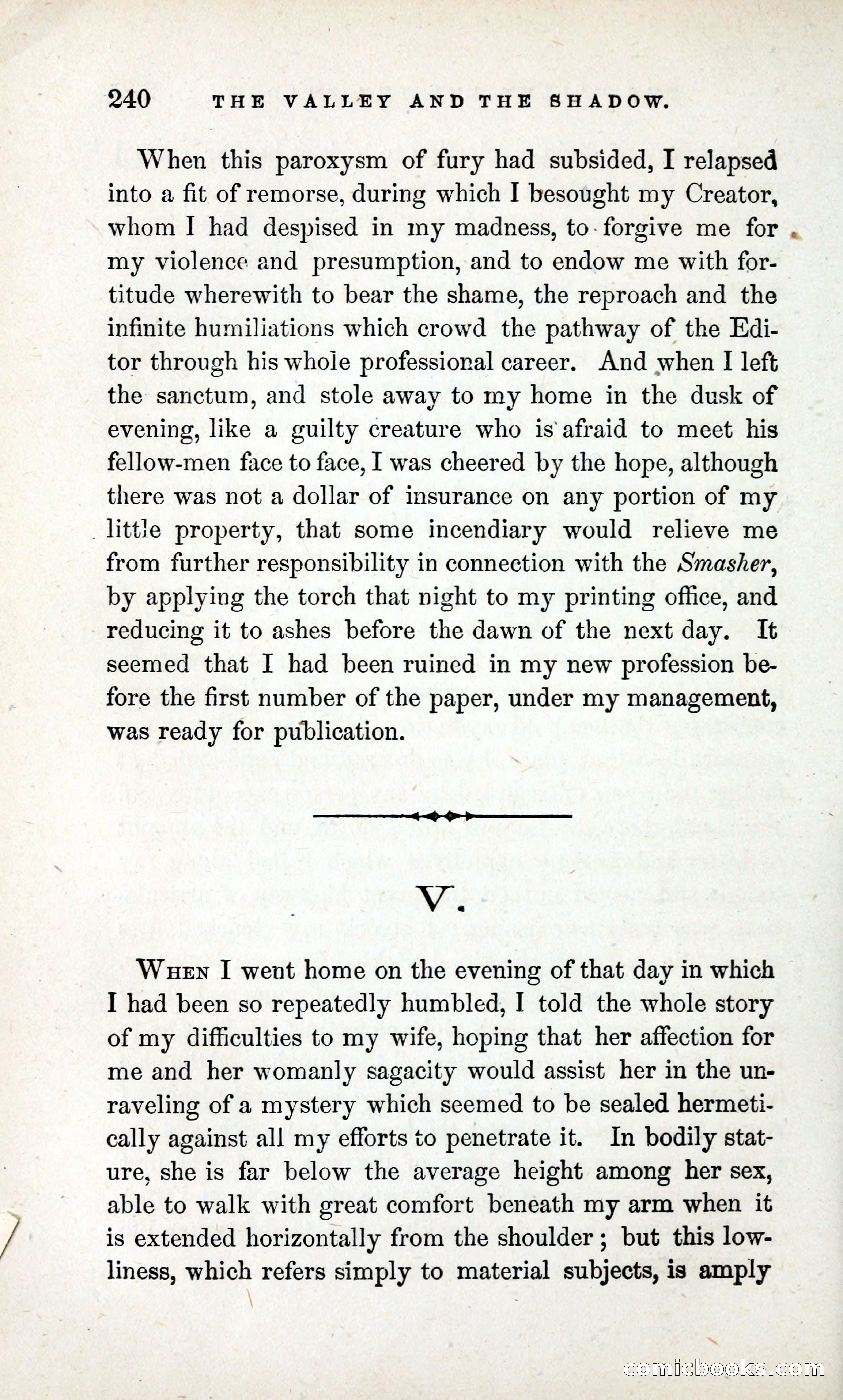 The Valley and the Shadow (1868) — page 249 of 349