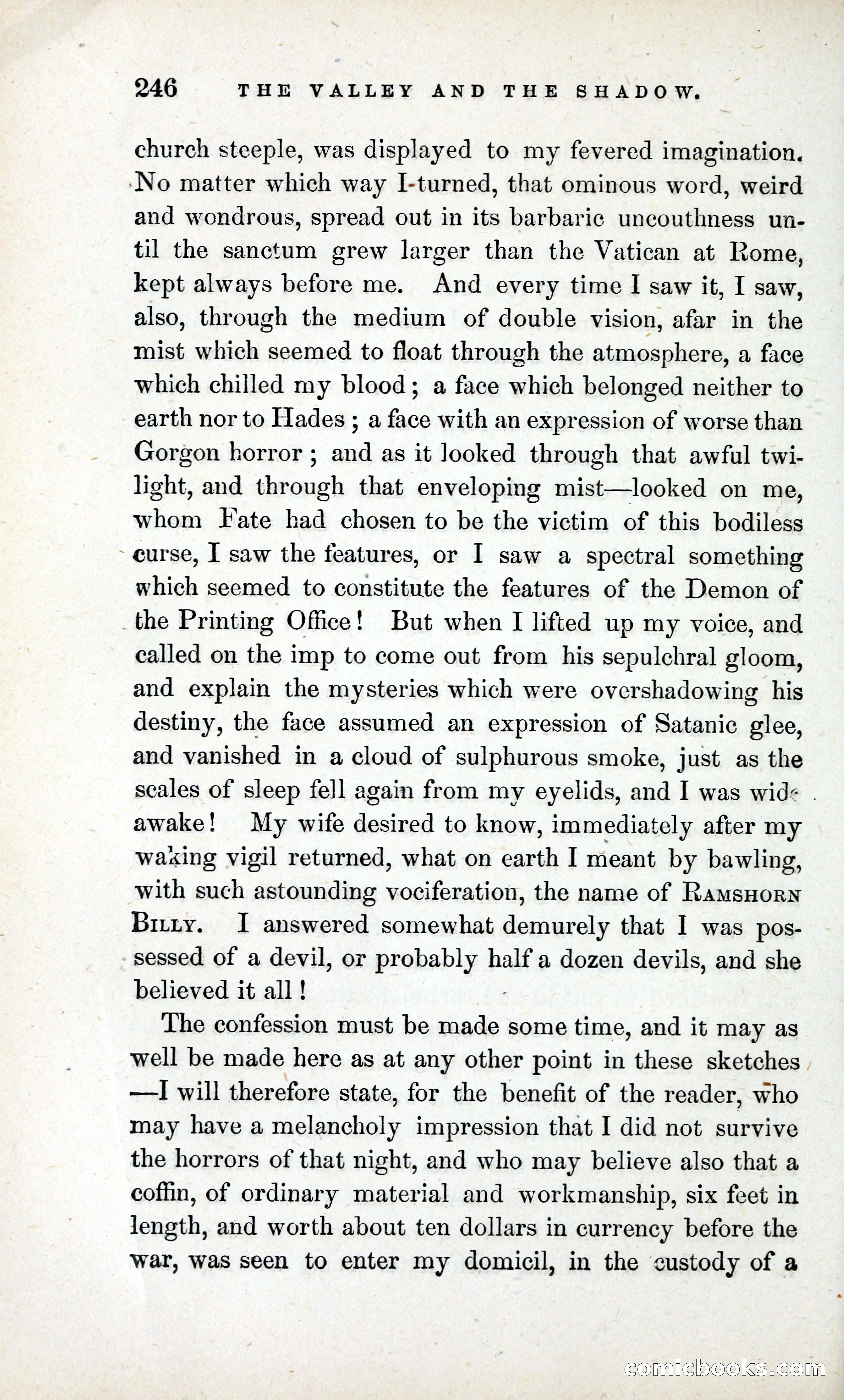 The Valley and the Shadow (1868) — page 255 of 349