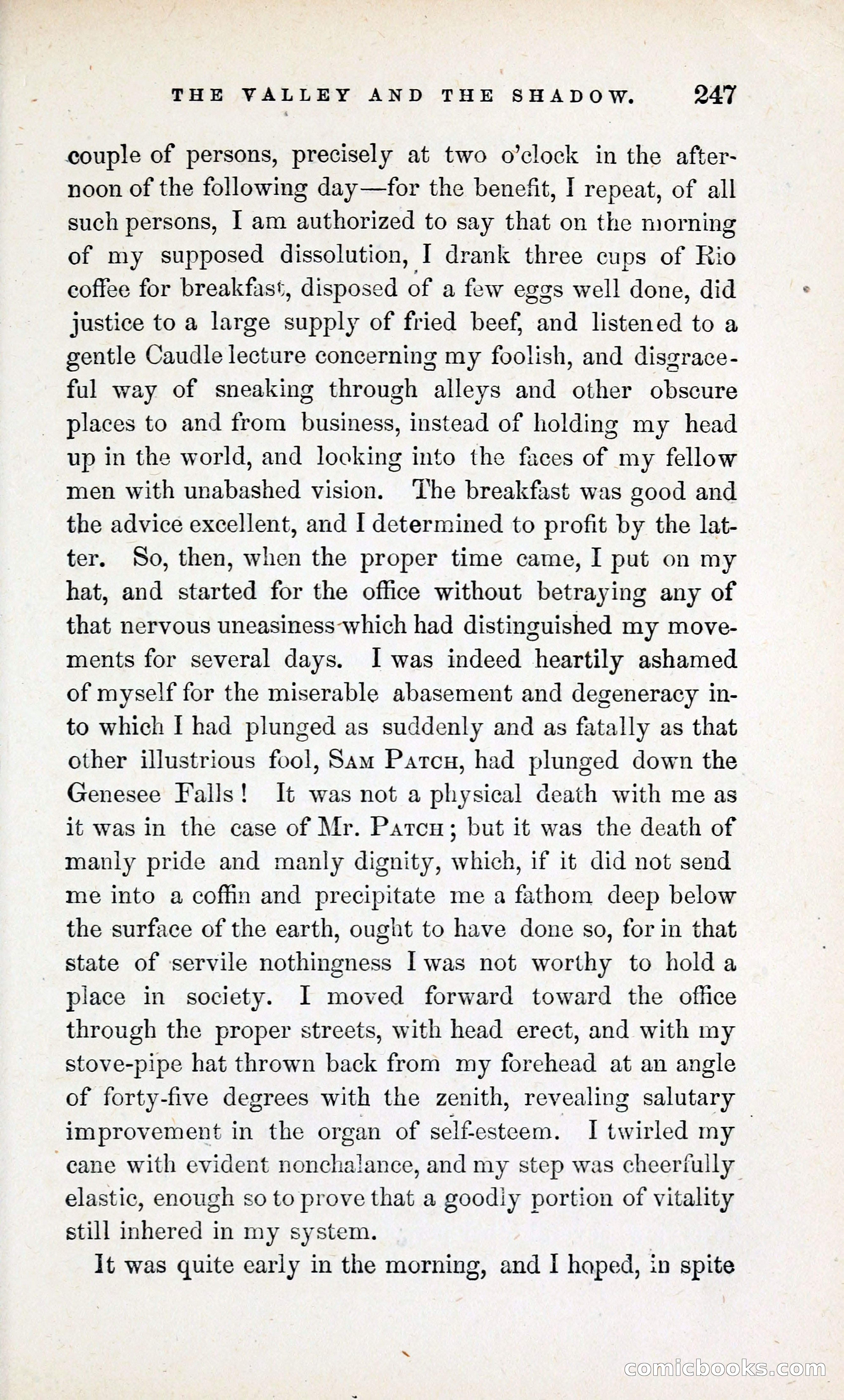 The Valley and the Shadow (1868) — page 256 of 349