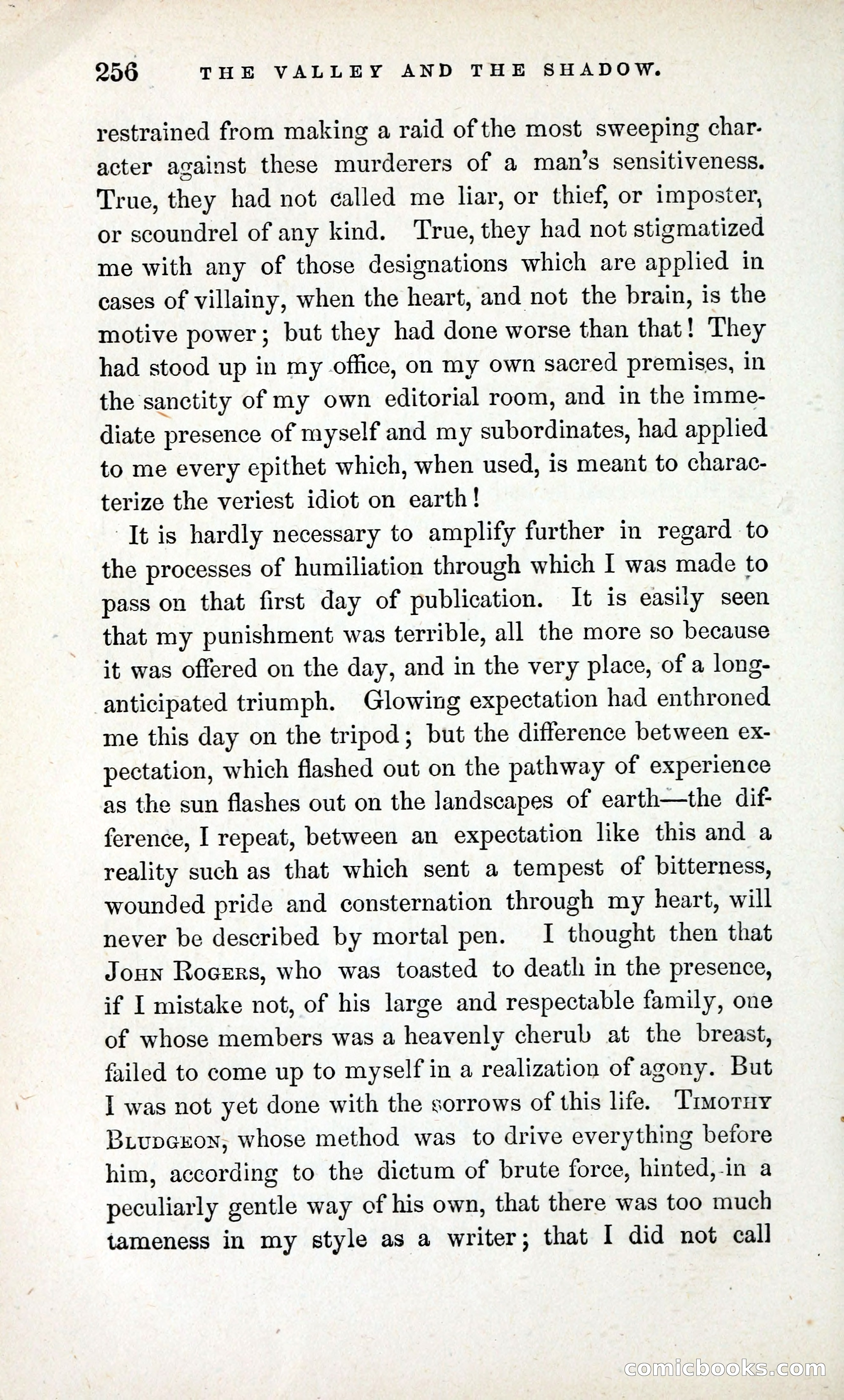 The Valley and the Shadow (1868) — page 265 of 349