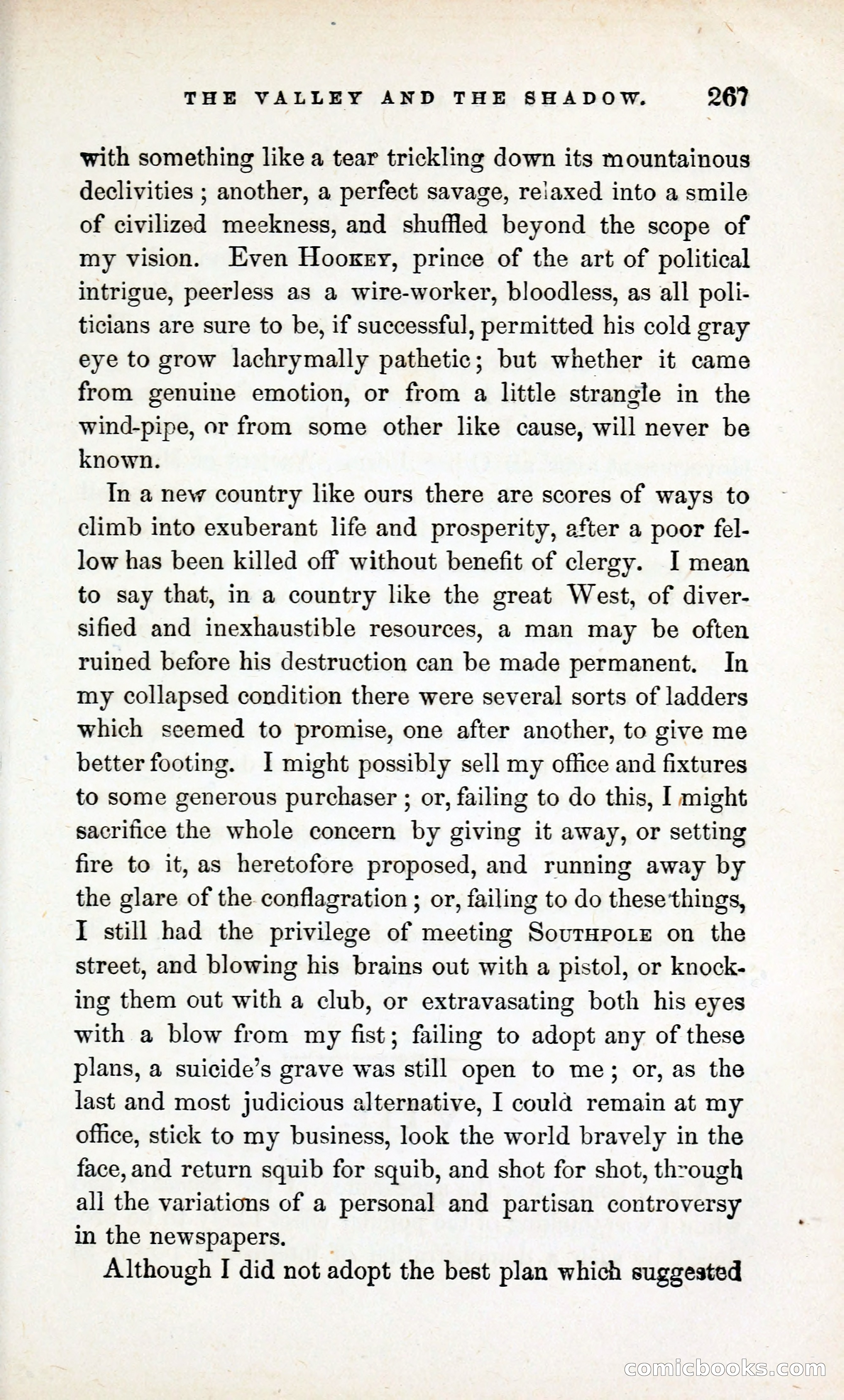 The Valley and the Shadow (1868) — page 276 of 349