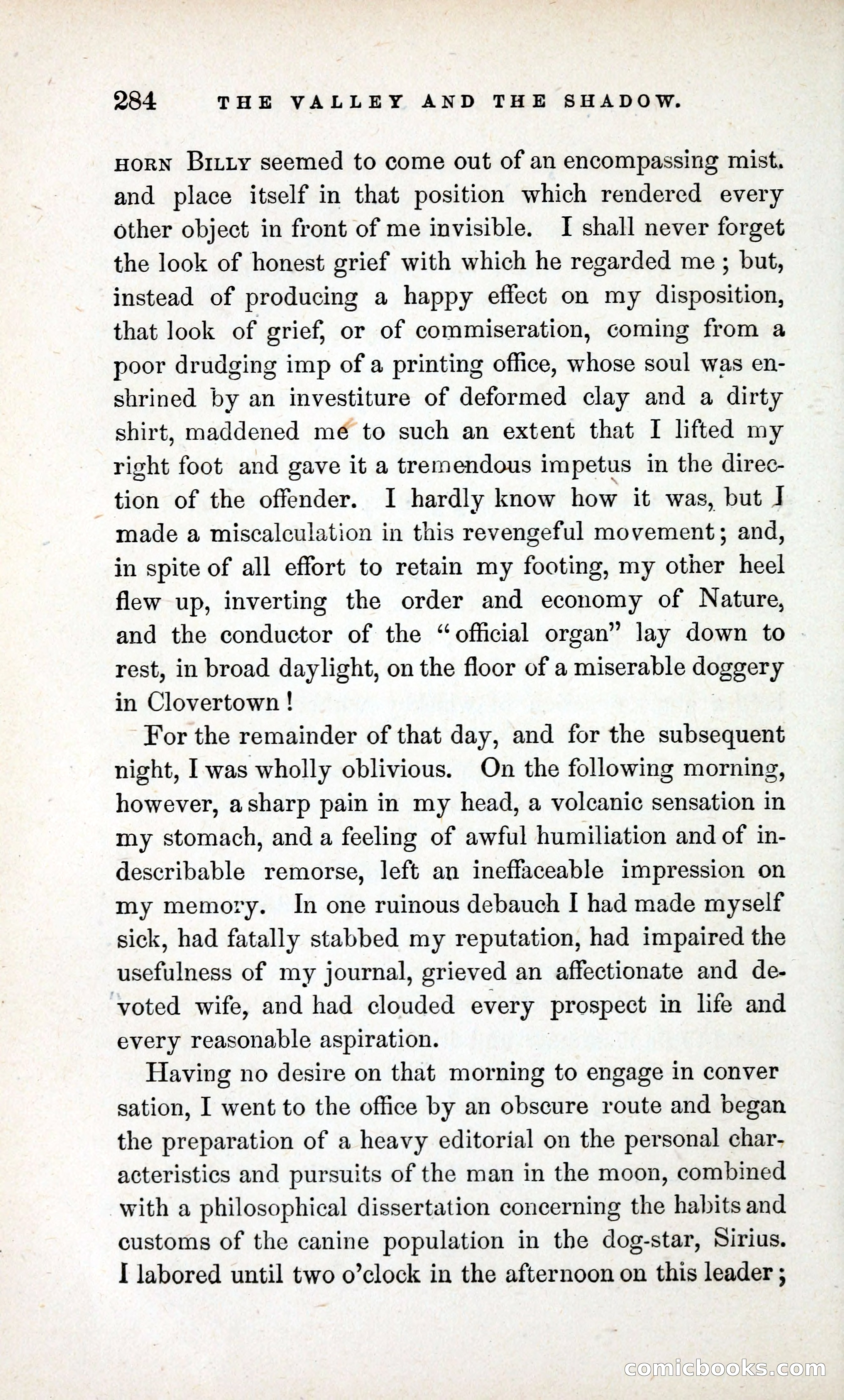 The Valley and the Shadow (1868) — page 293 of 349
