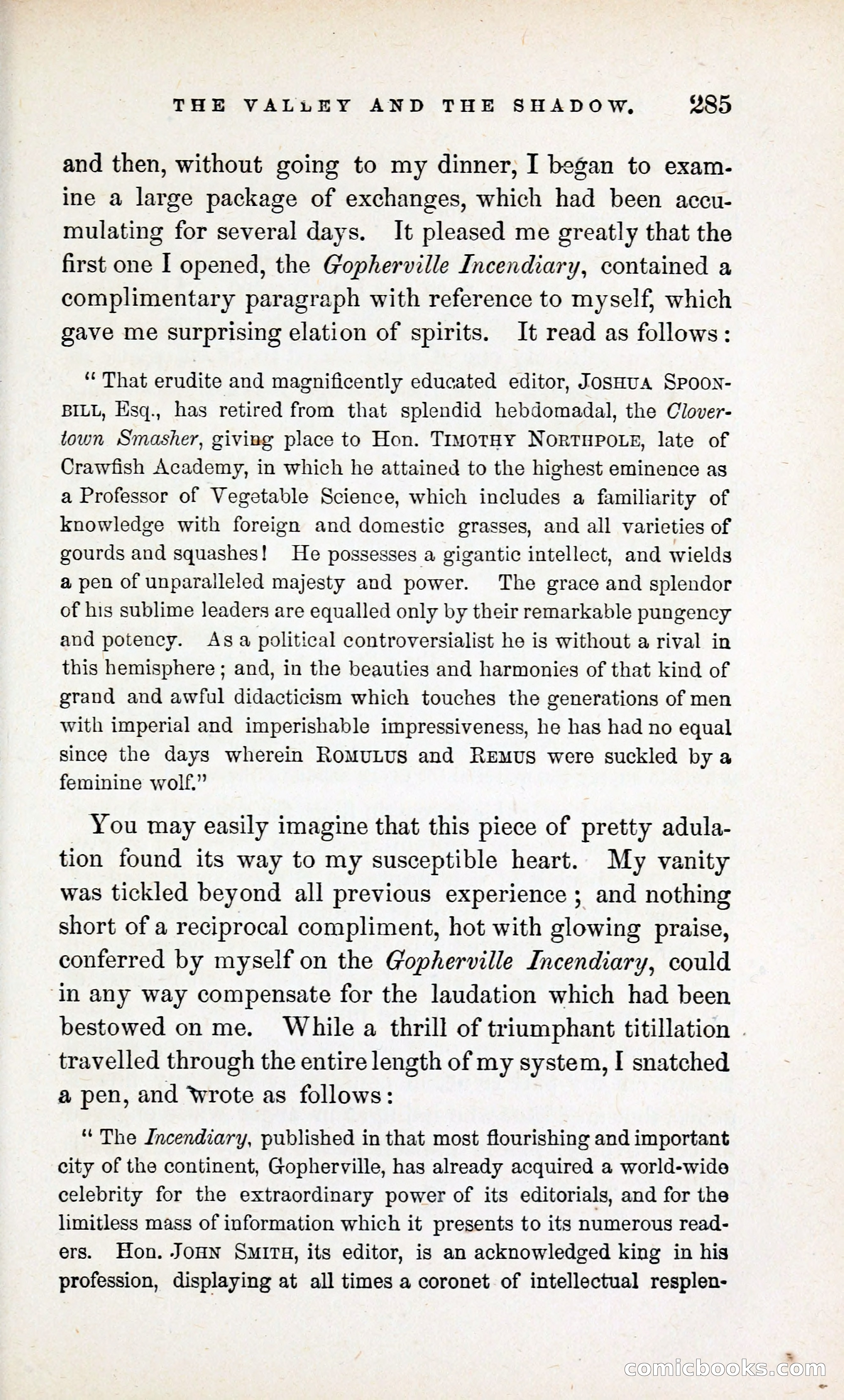 The Valley and the Shadow (1868) — page 294 of 349