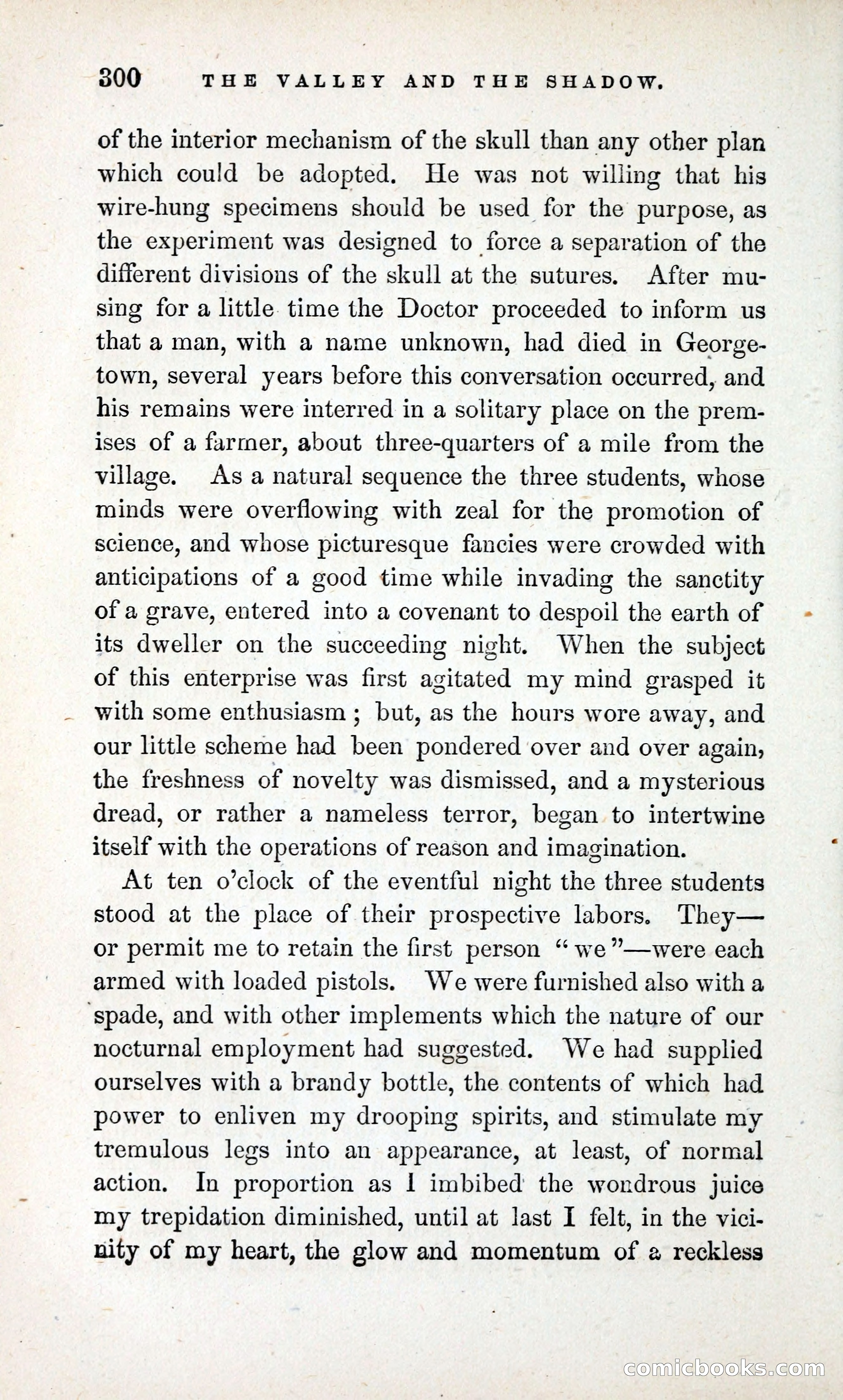 The Valley and the Shadow (1868) — page 309 of 349