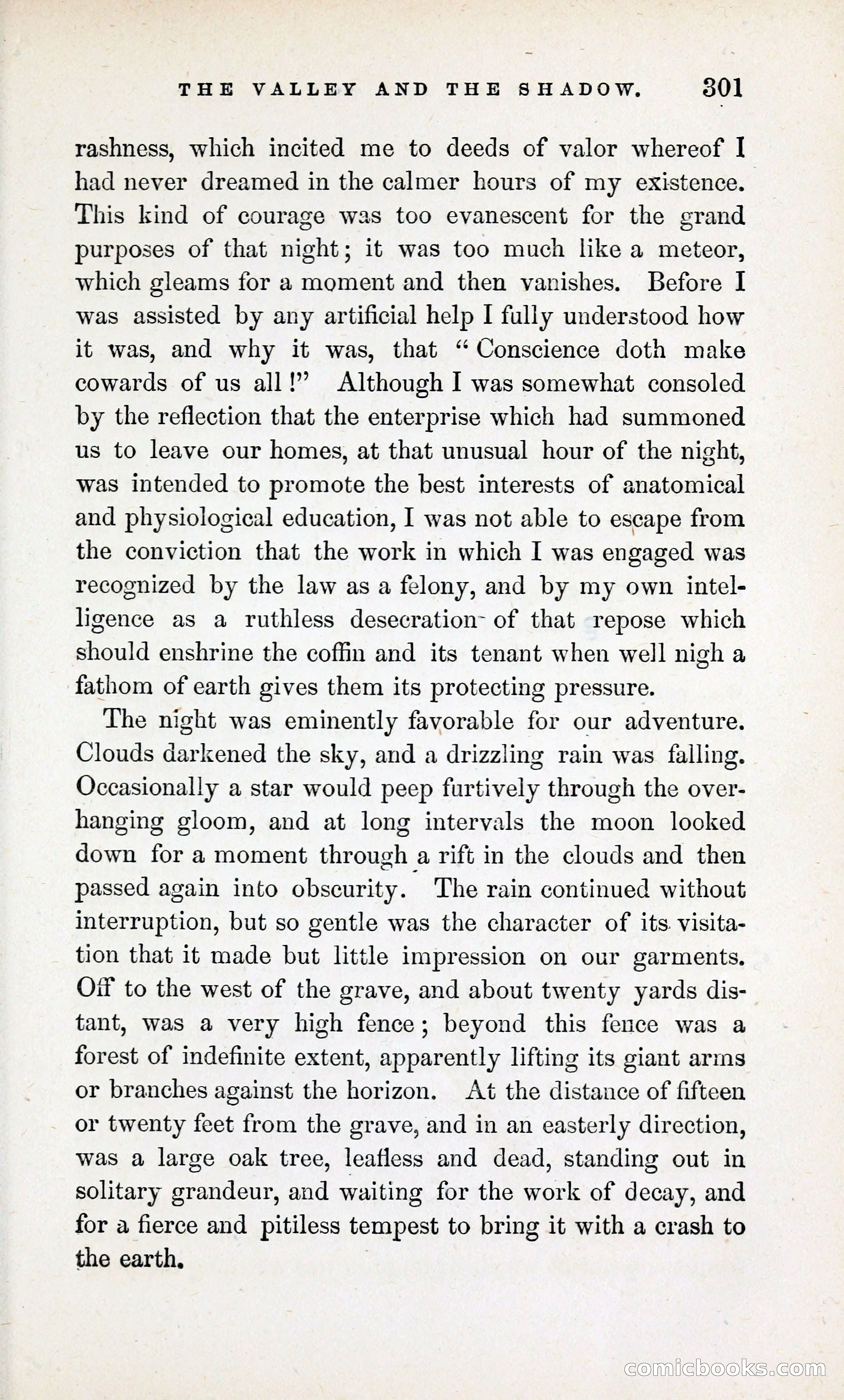 The Valley and the Shadow (1868) — page 310 of 349