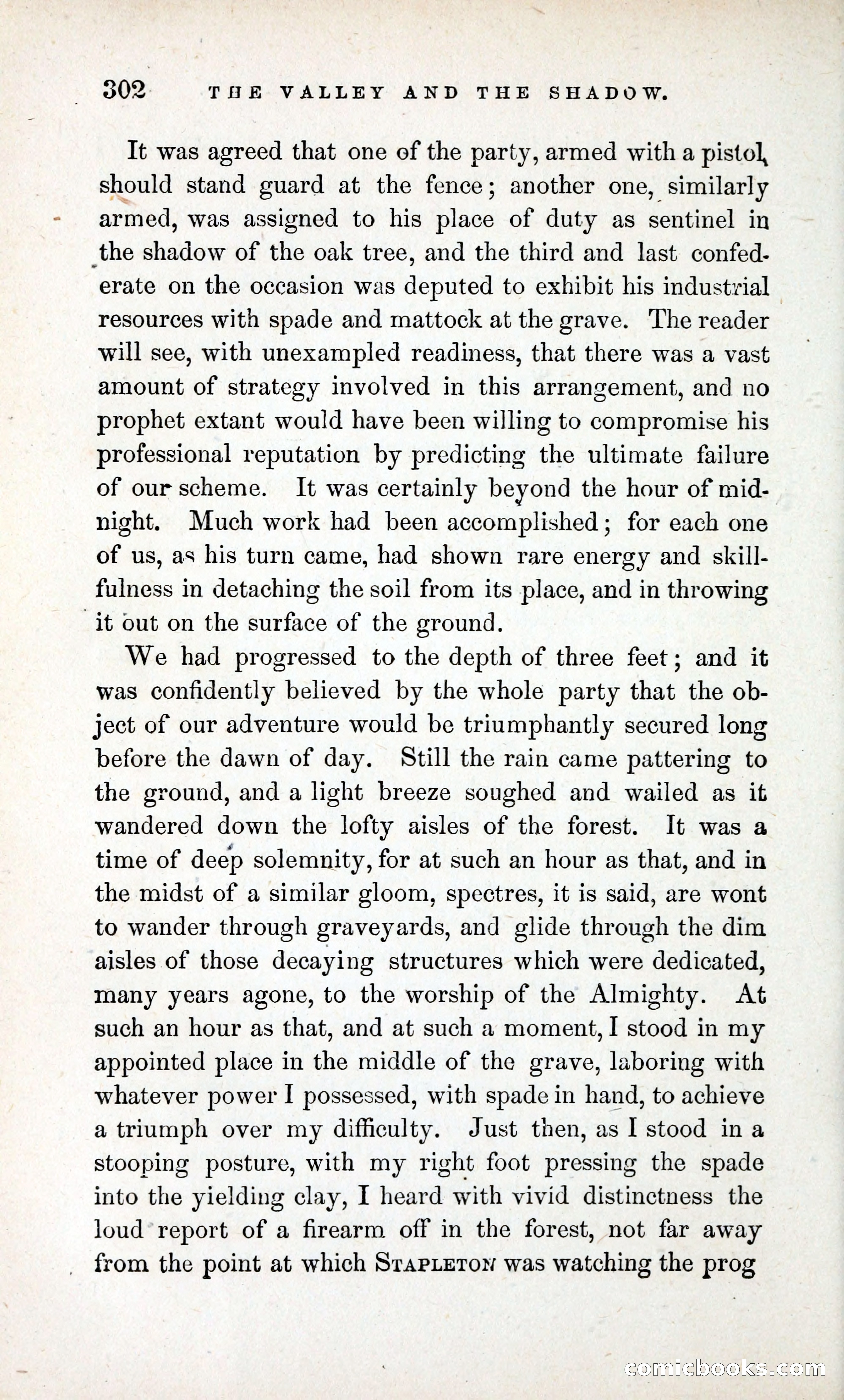 The Valley and the Shadow (1868) — page 311 of 349