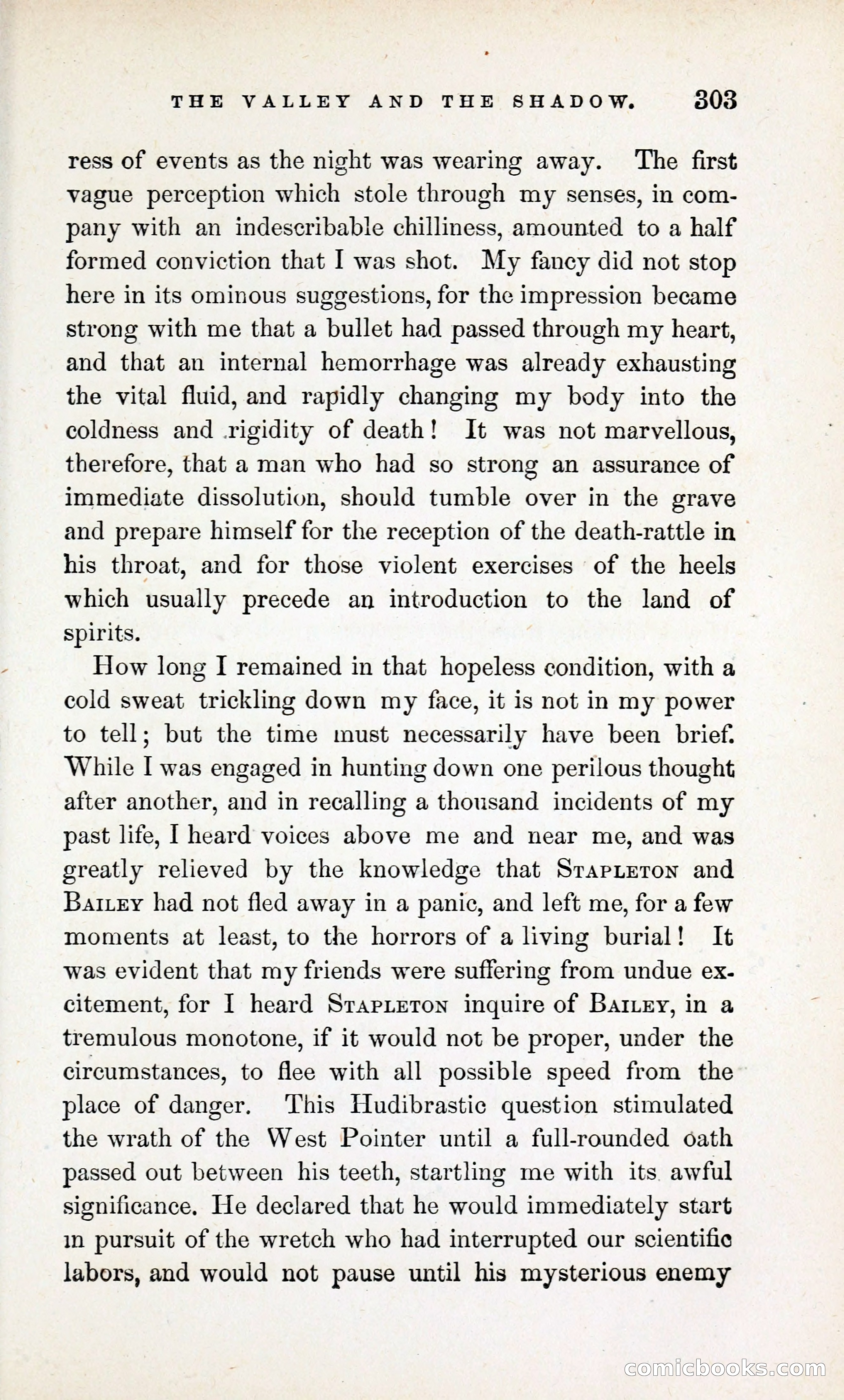 The Valley and the Shadow (1868) — page 312 of 349
