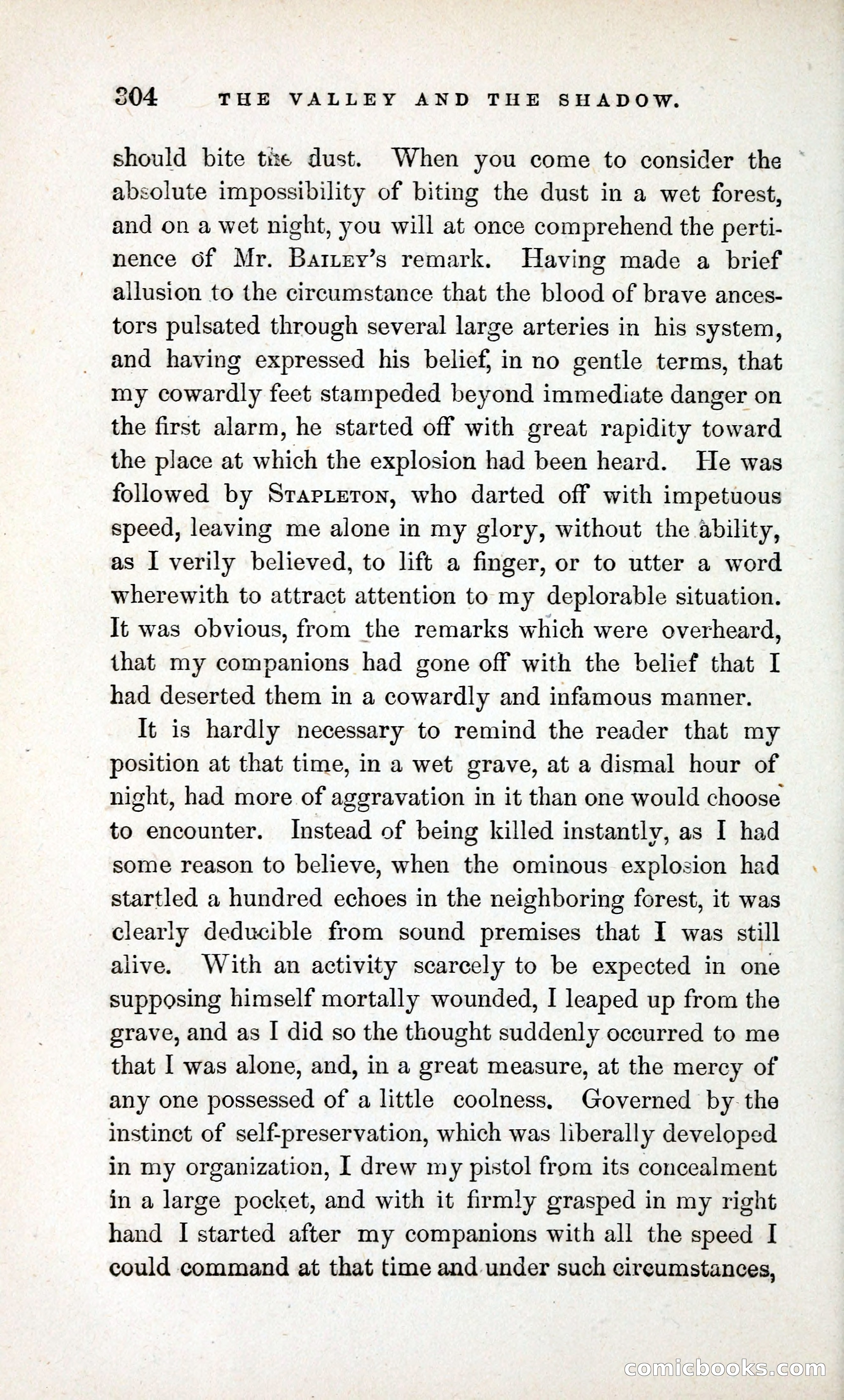 The Valley and the Shadow (1868) — page 313 of 349
