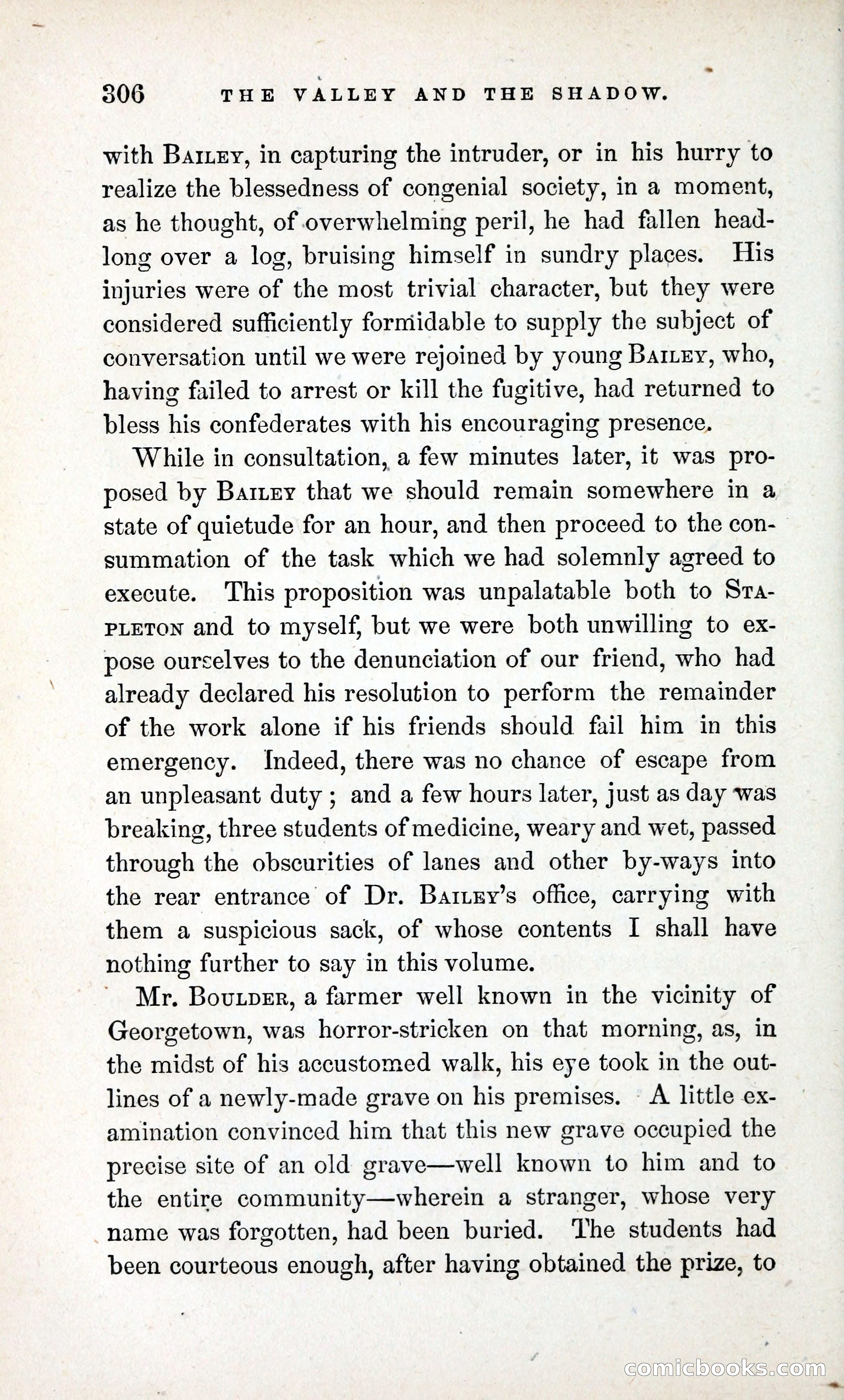 The Valley and the Shadow (1868) — page 315 of 349