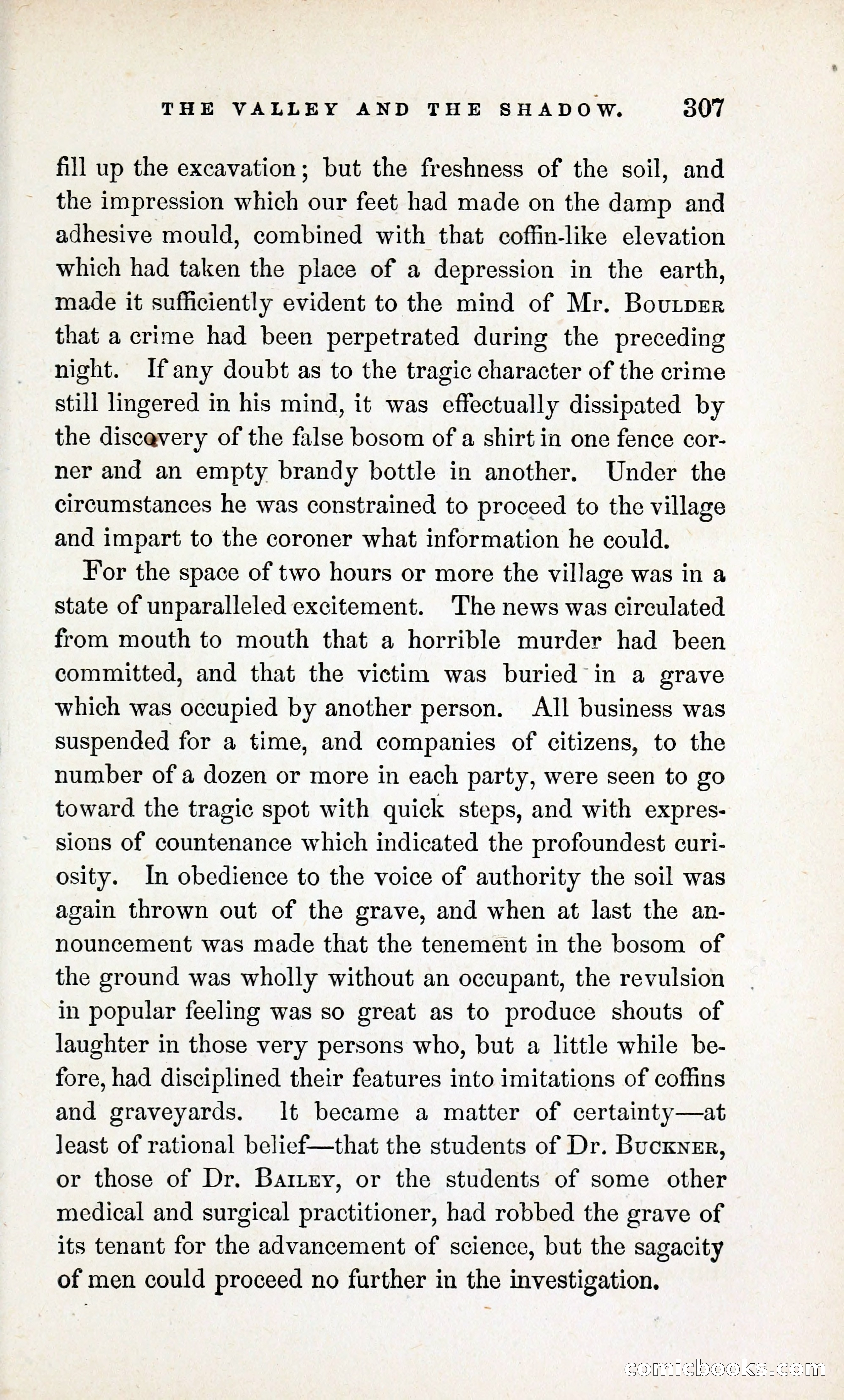 The Valley and the Shadow (1868) — page 316 of 349