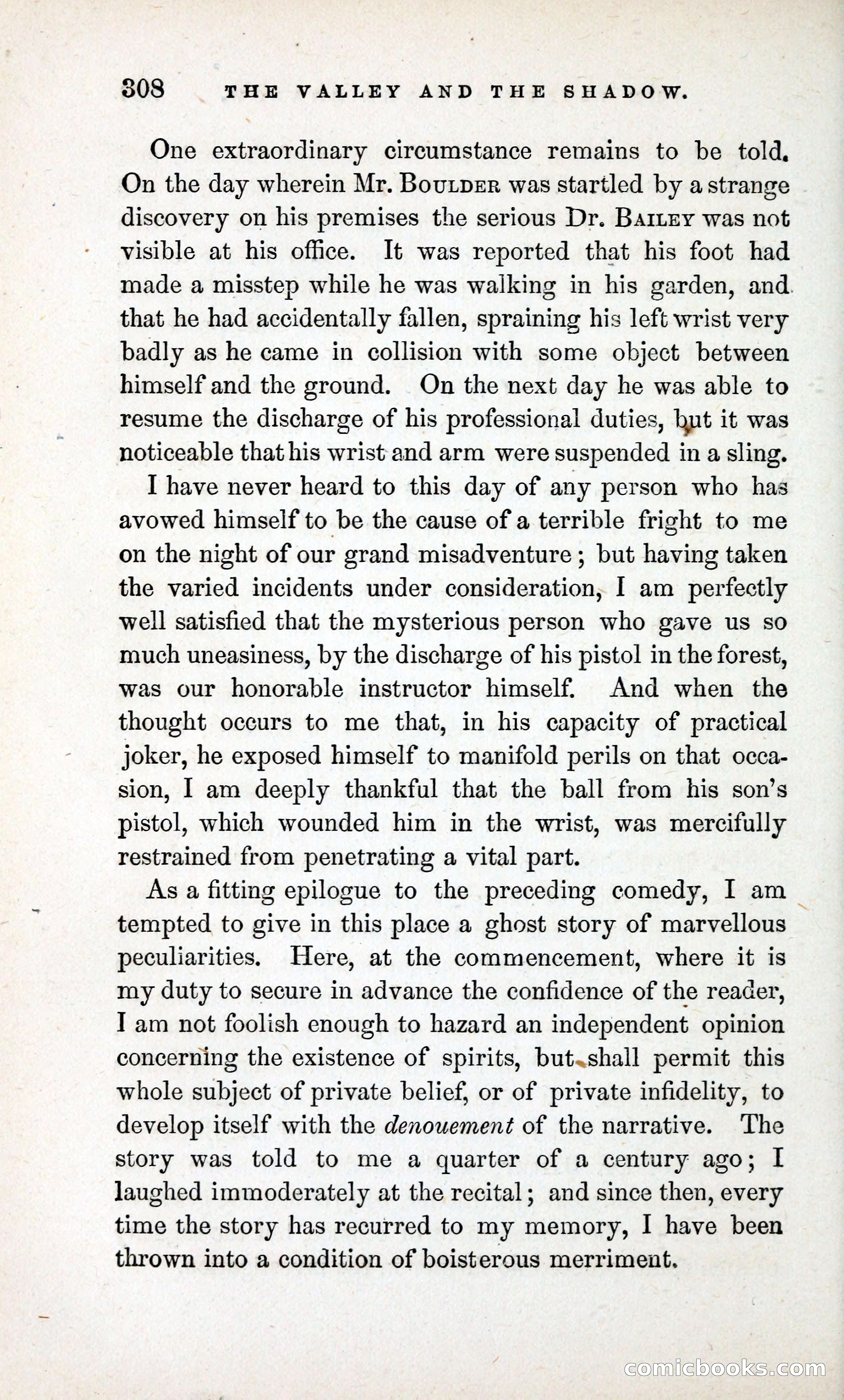 The Valley and the Shadow (1868) — page 317 of 349