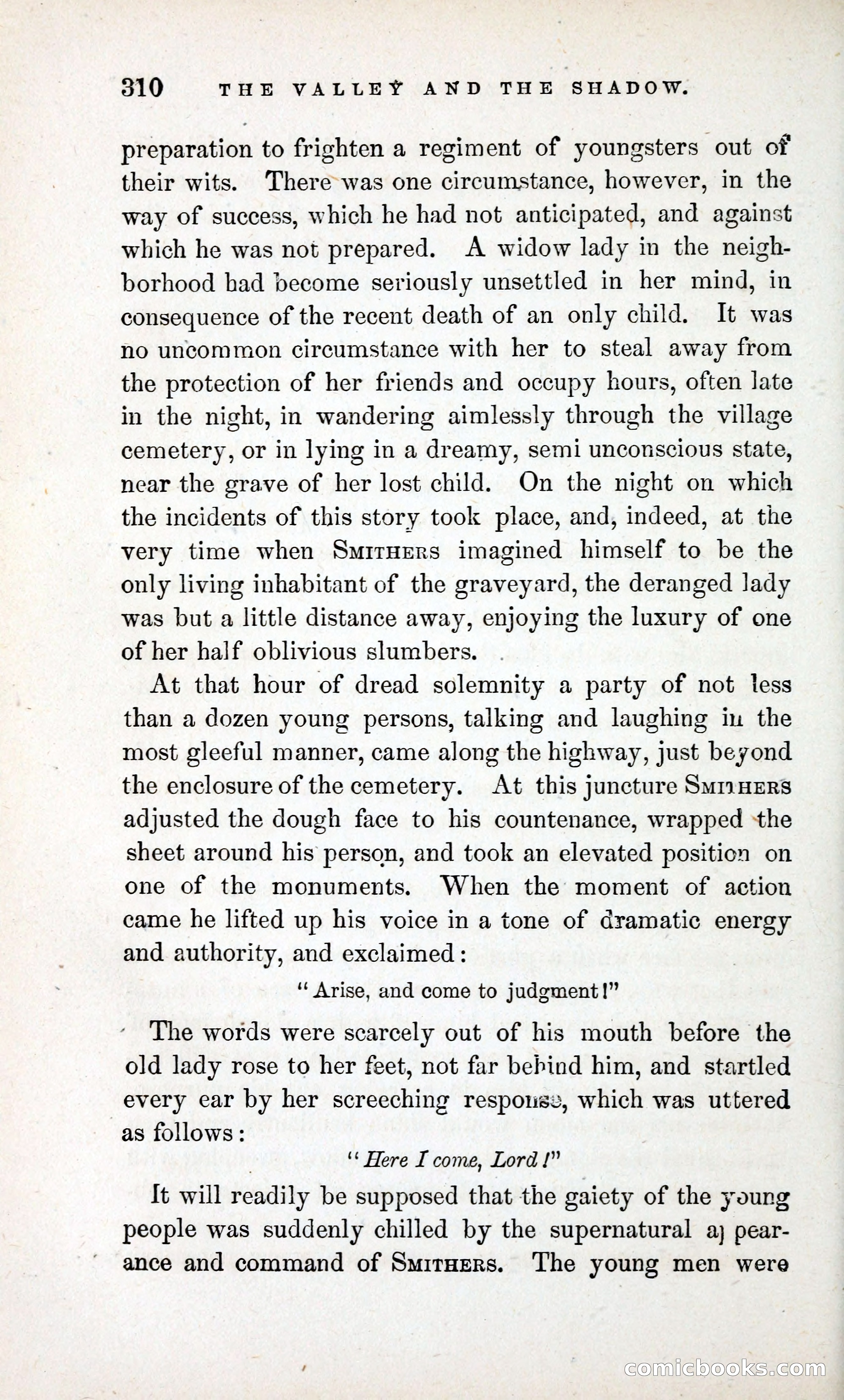 The Valley and the Shadow (1868) — page 319 of 349