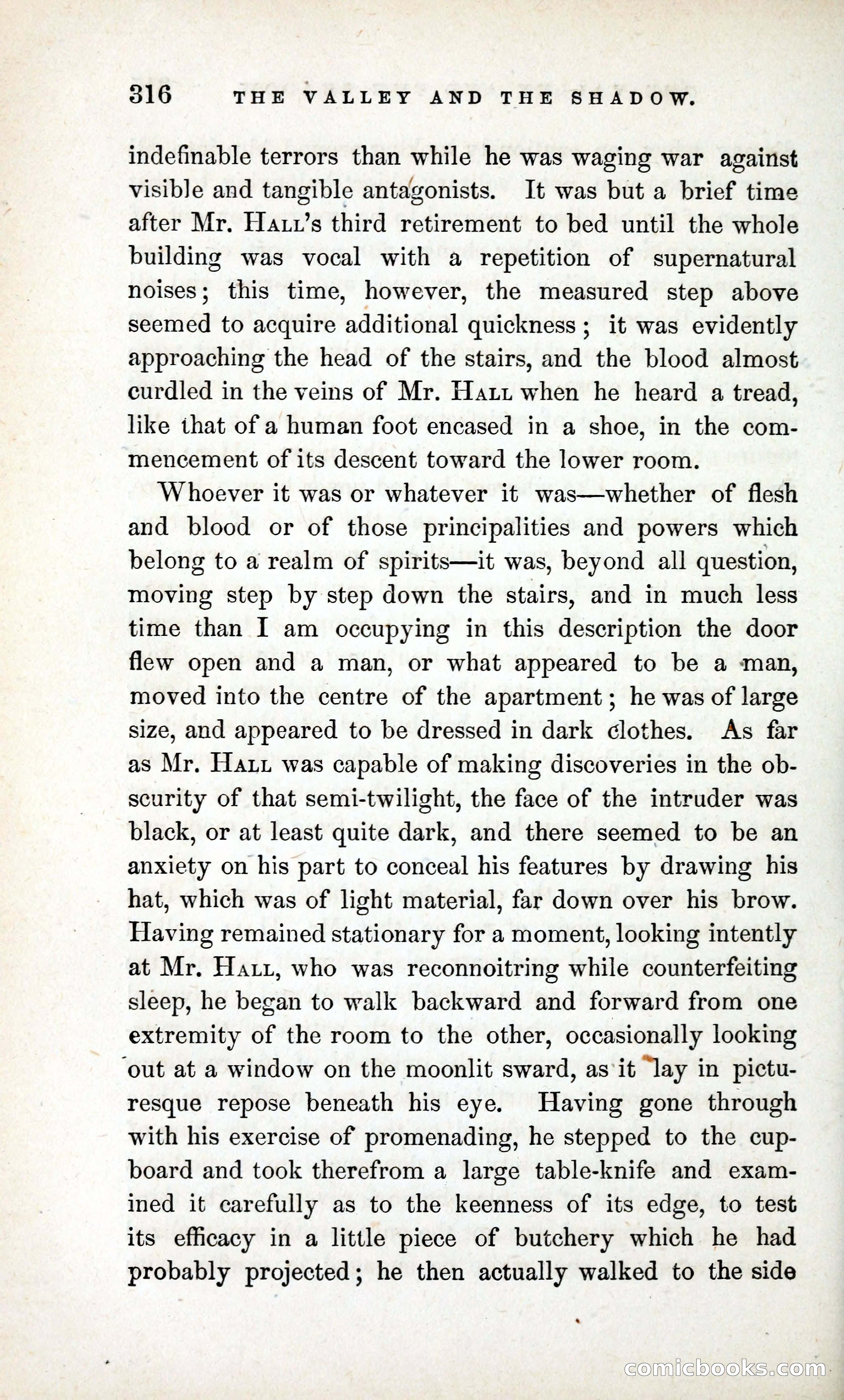 The Valley and the Shadow (1868) — page 325 of 349