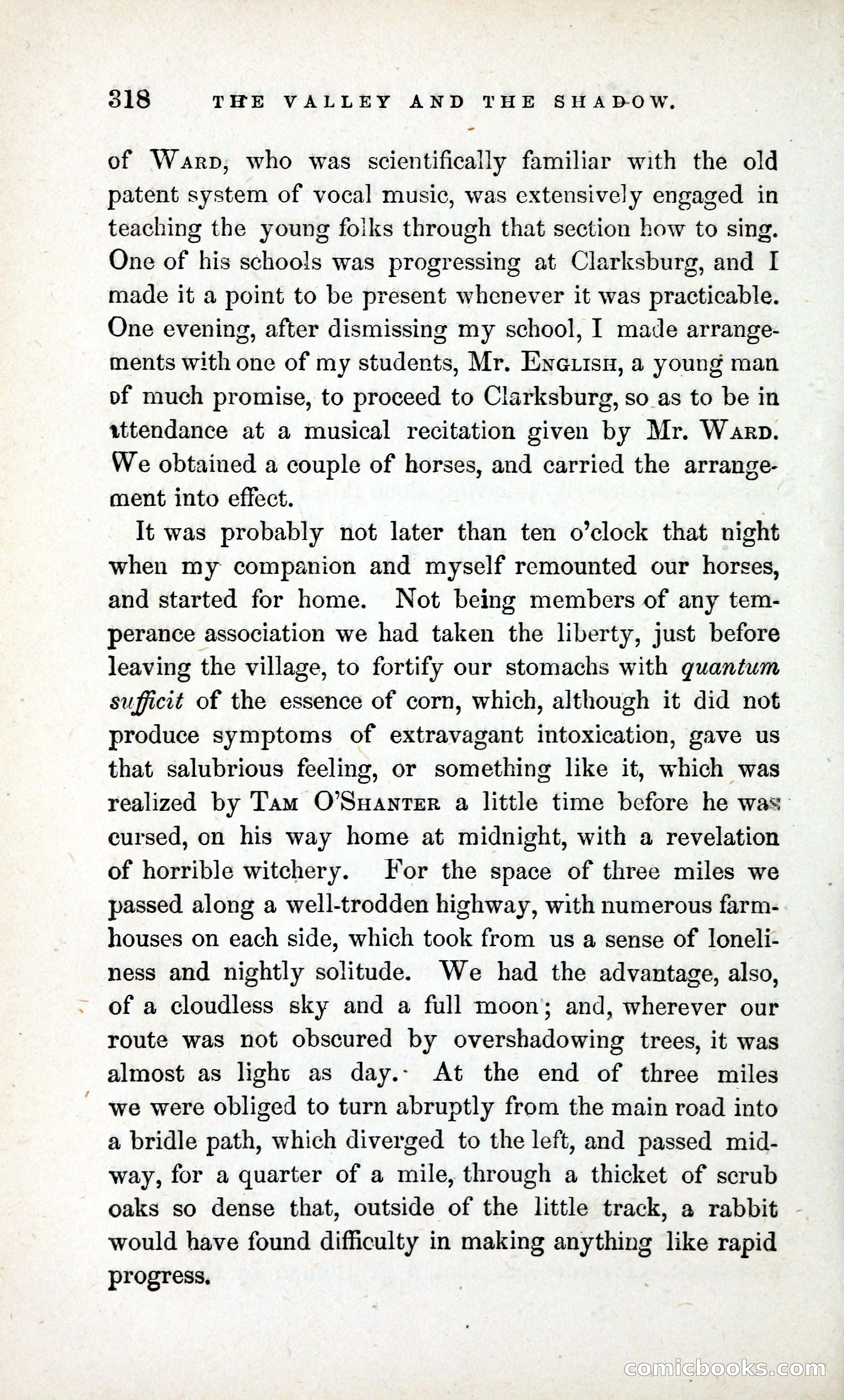 The Valley and the Shadow (1868) — page 327 of 349