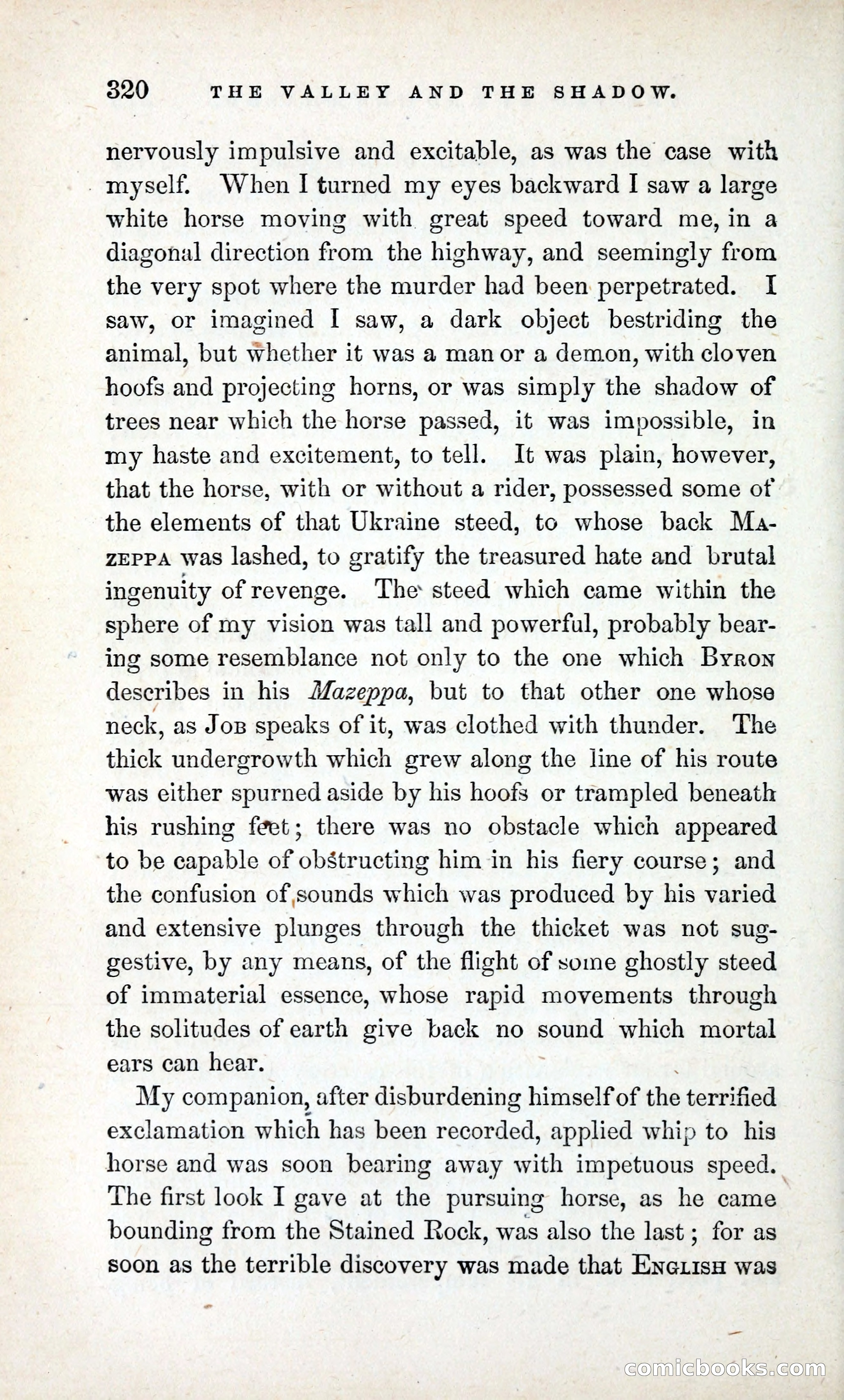 The Valley and the Shadow (1868) — page 329 of 349