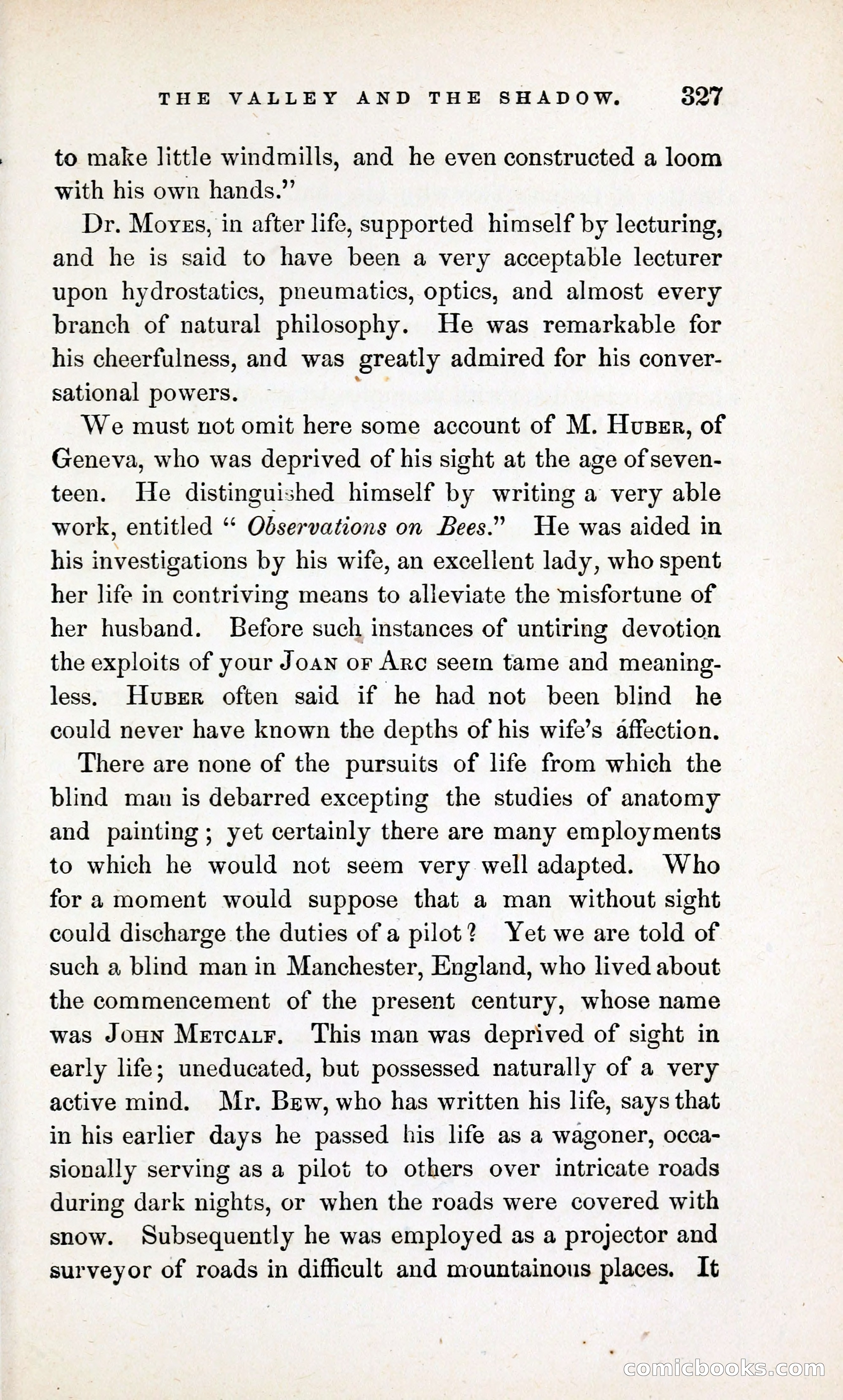 The Valley and the Shadow (1868) — page 336 of 349