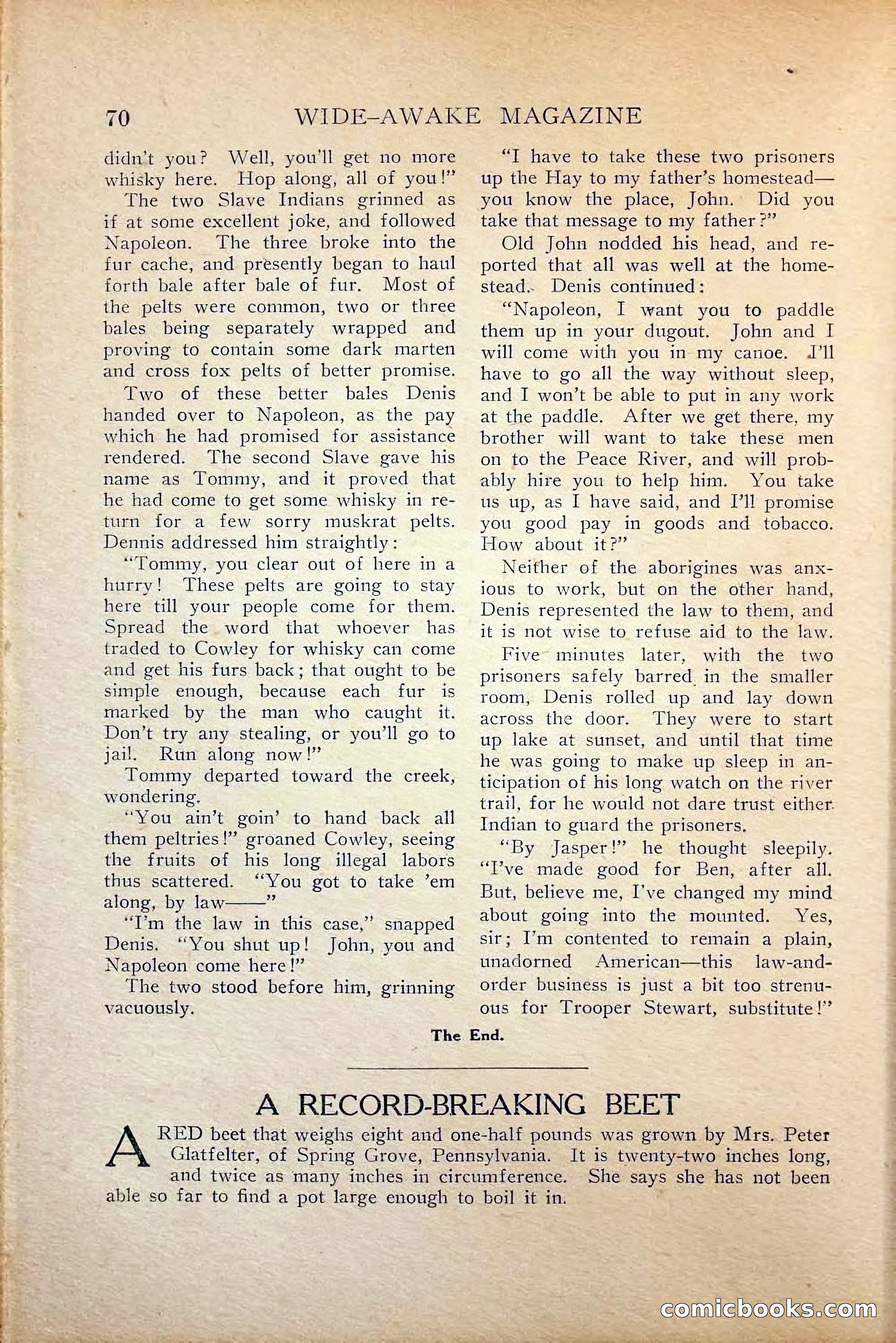 Wide-Awake Magazine, January 10, 1916 — page 72 of 132
