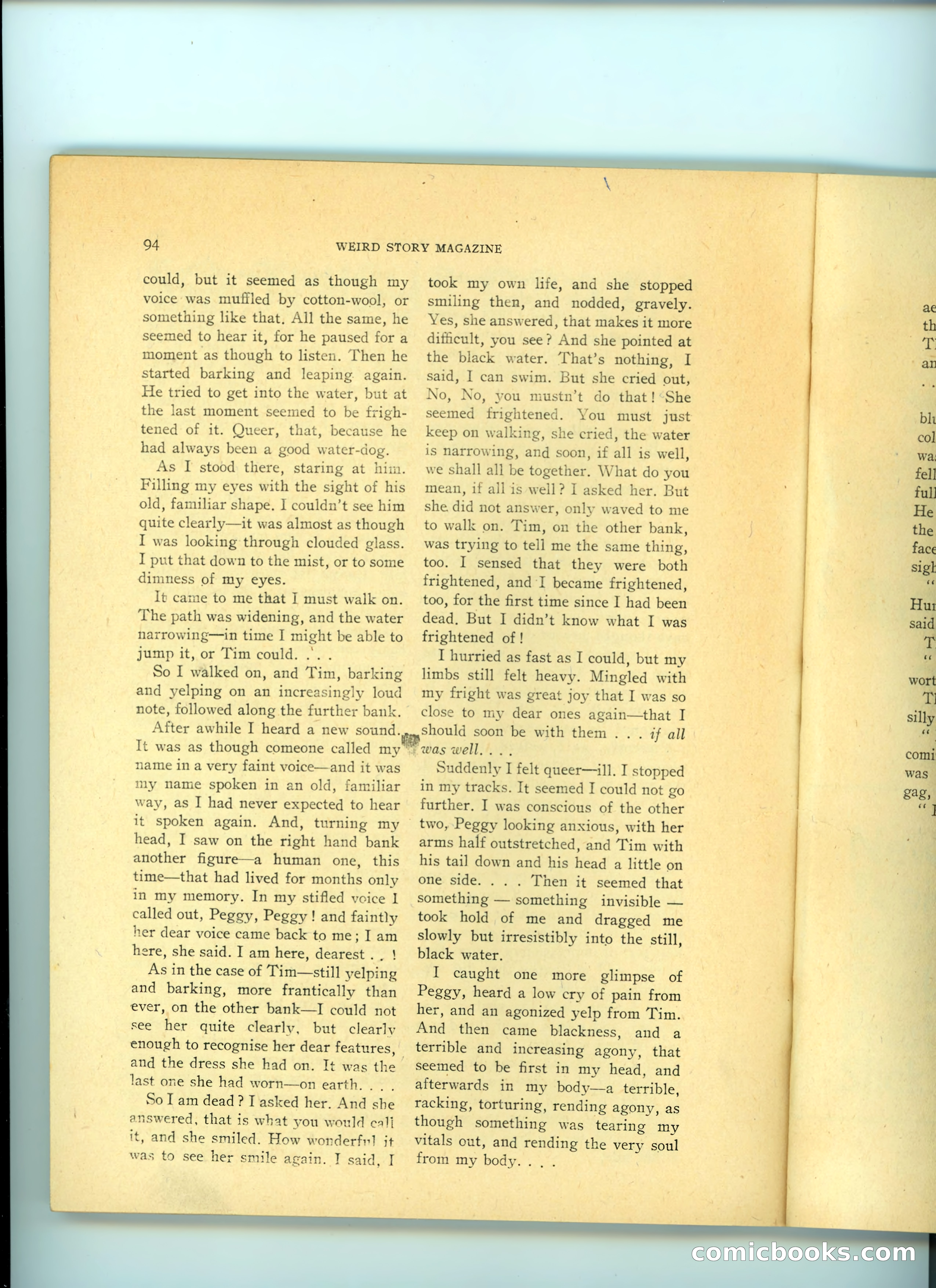 Weird Story Magazine, August 1940 — page 96 of 101