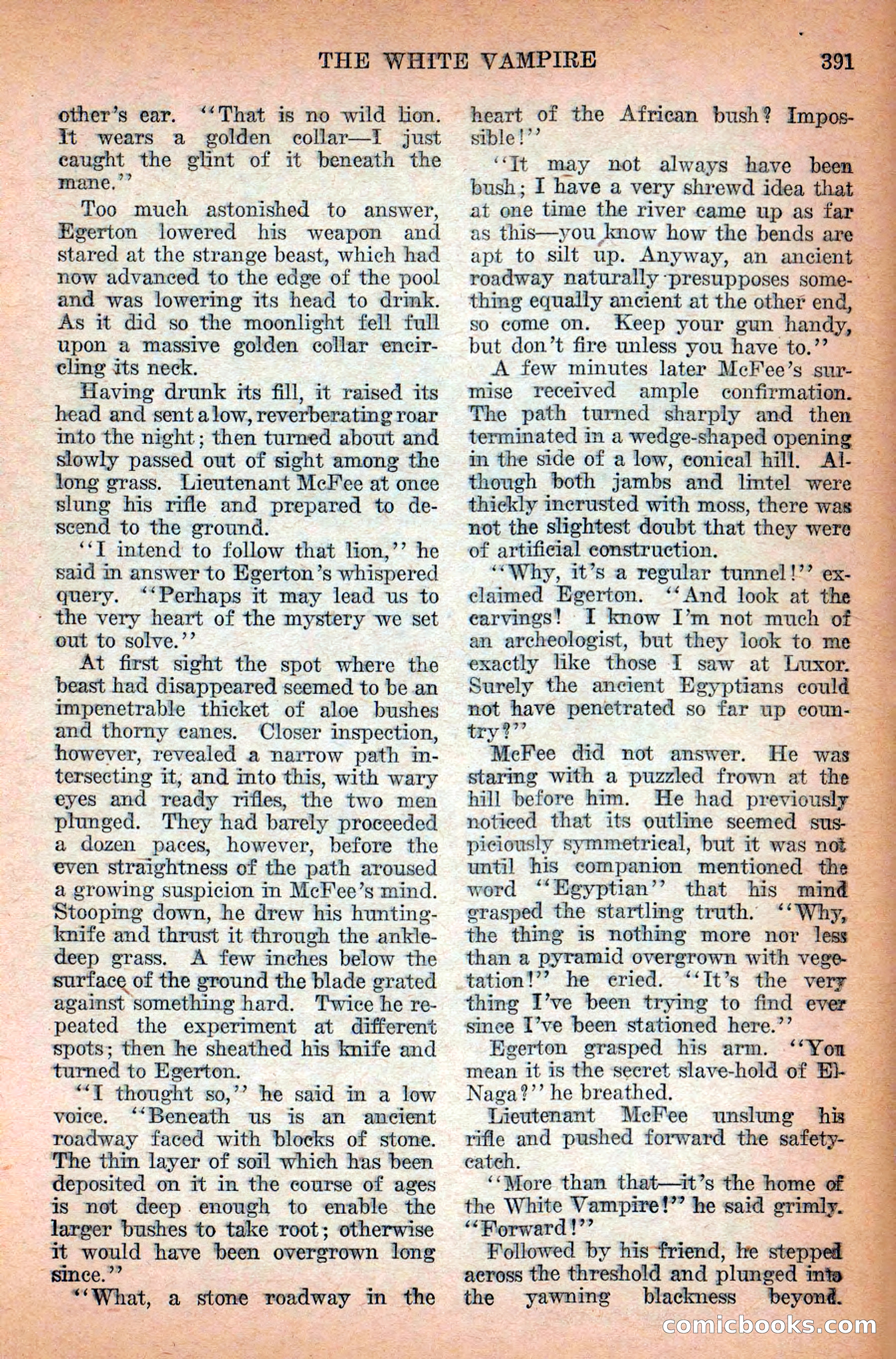 Weird Tales, Vol. 12 No. 3 — page 105 of 148
