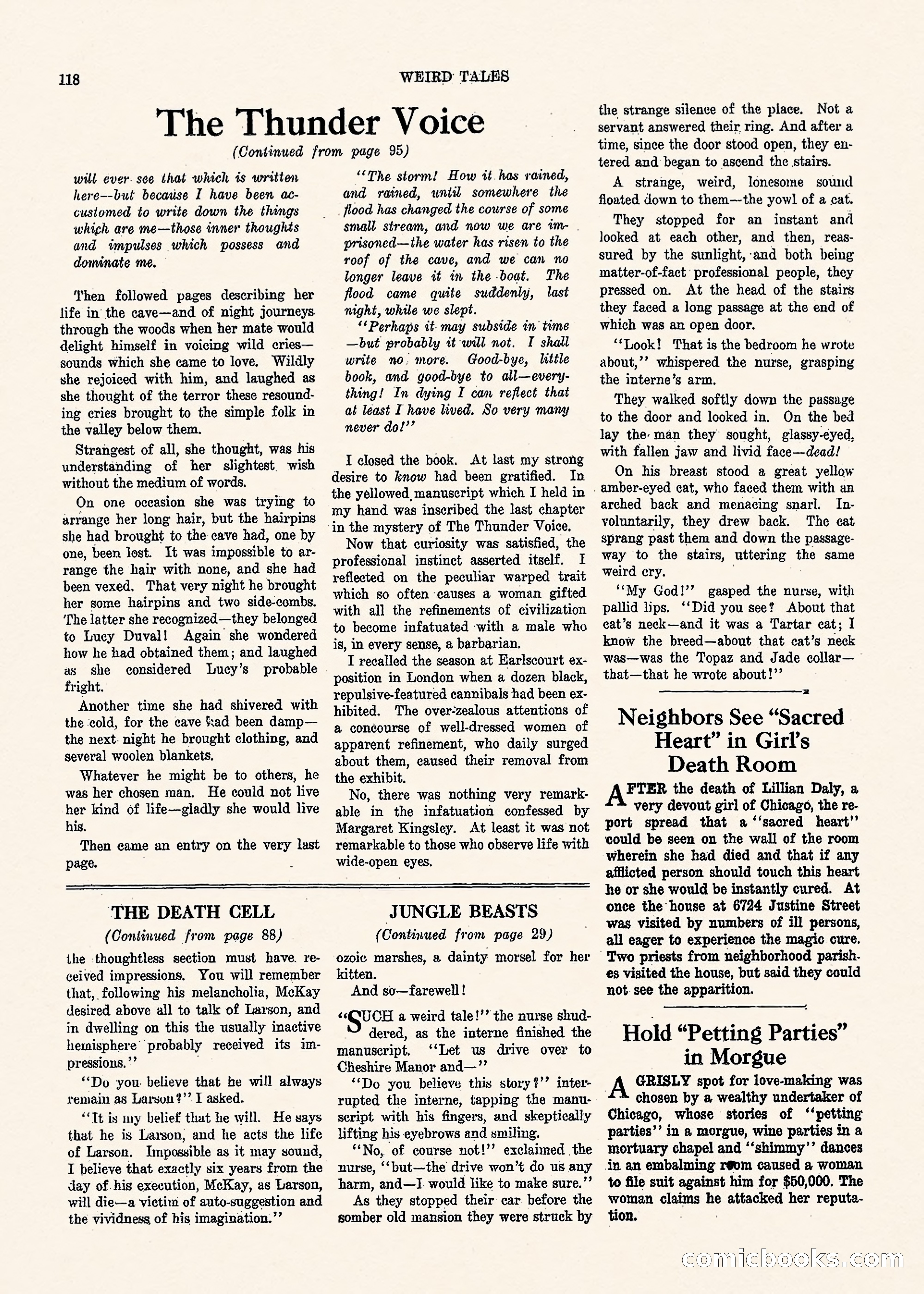 Weird Tales, Vol. 1, No. 3 — page 119 of 122