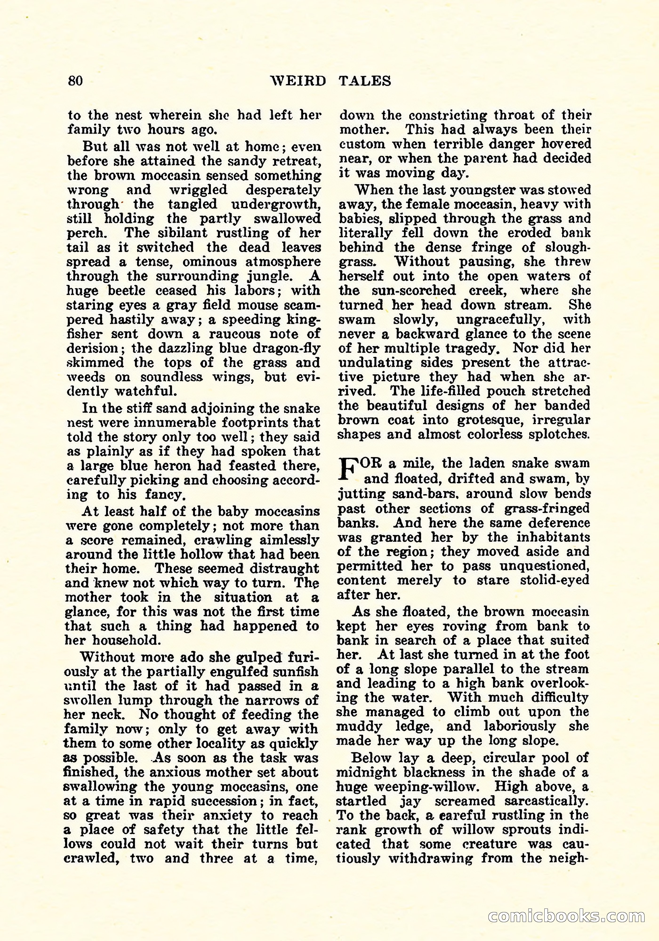 Weird Tales, Vol. 5, No. 2 — page 81 of 194