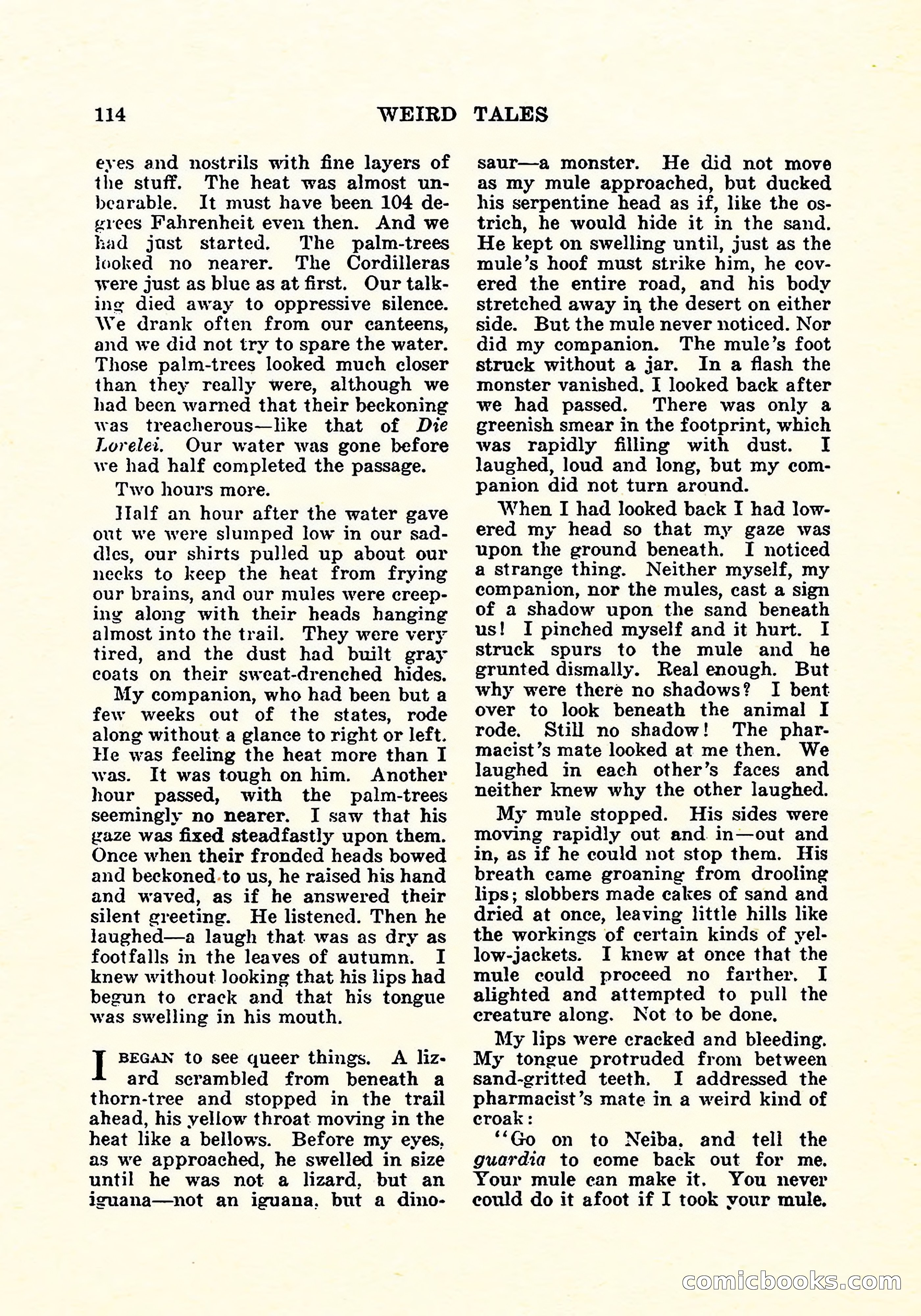 Weird Tales, Vol. 5, No. 4 — page 115 of 194