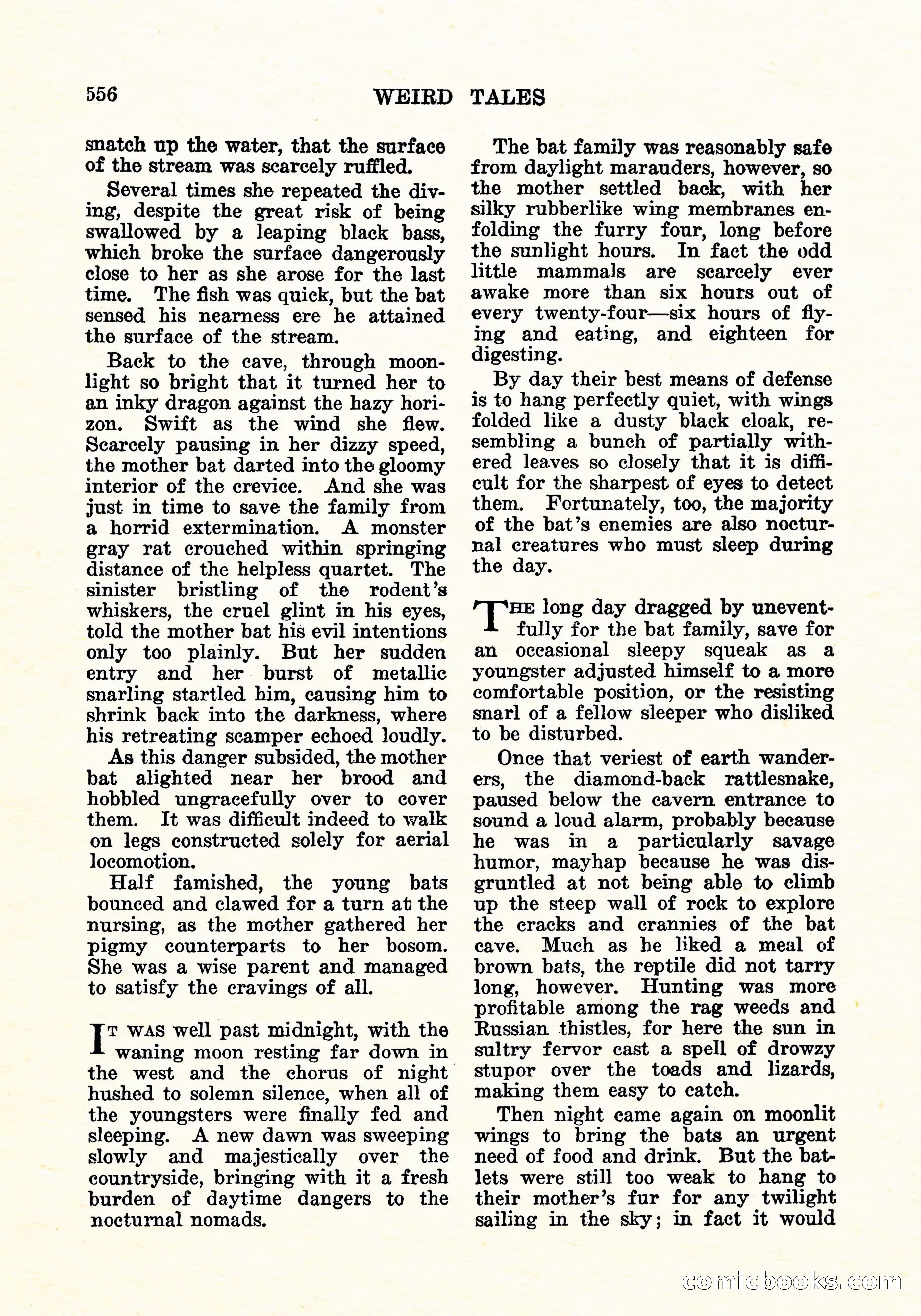 Weird Tales, Vol. 6 No. 4 — page 125 of 146