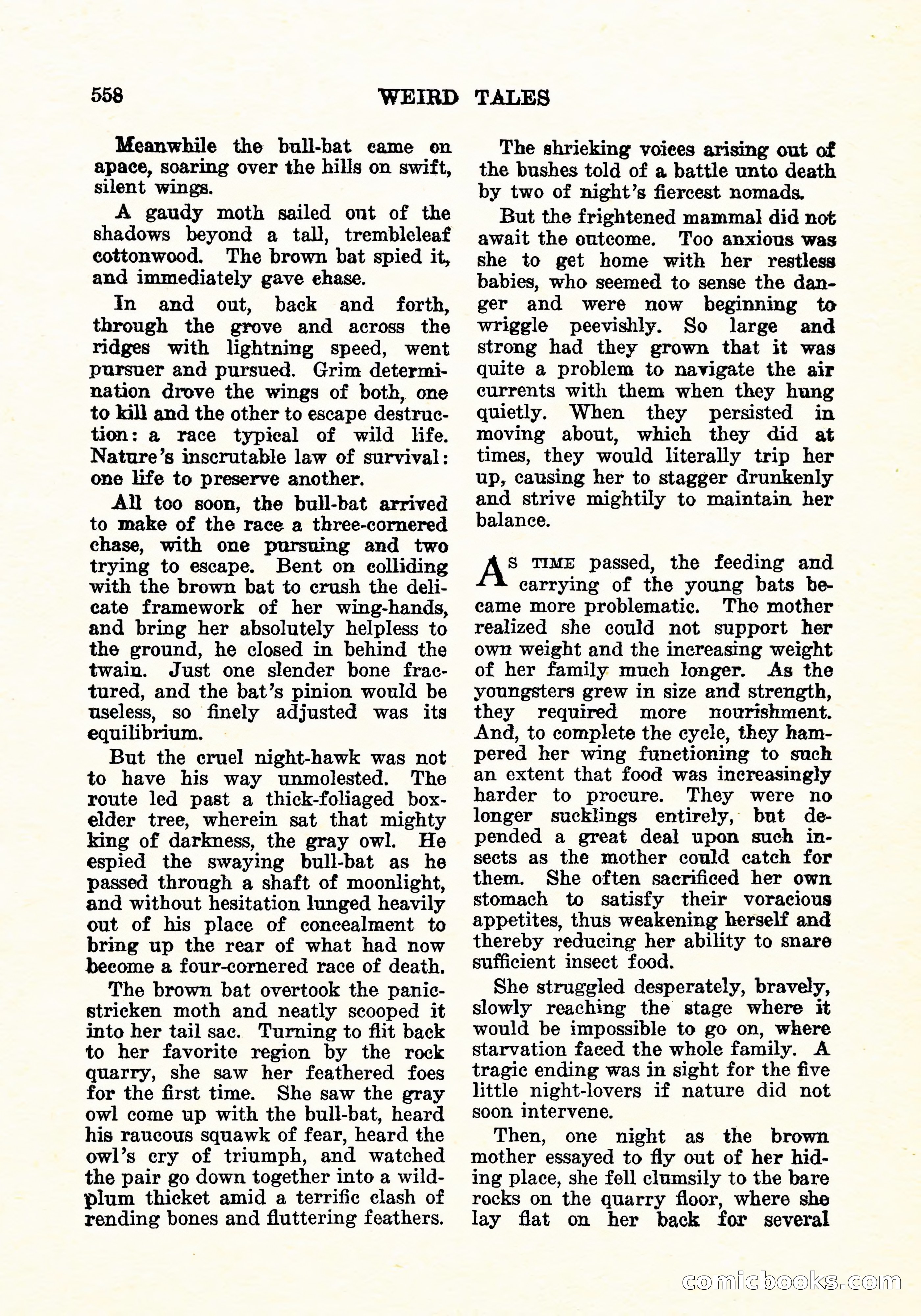 Weird Tales, Vol. 6 No. 4 — page 127 of 146