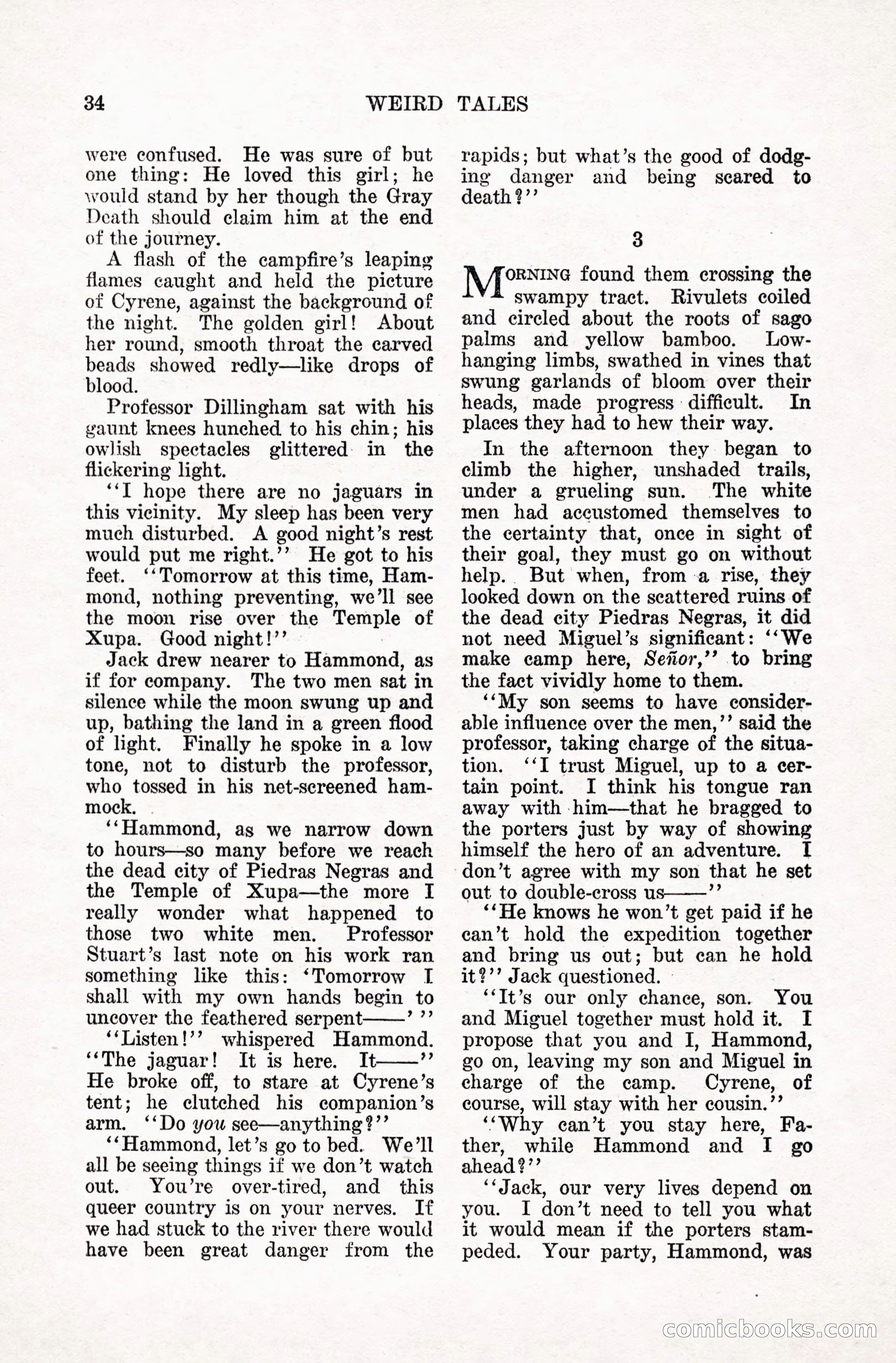 Weird Tales, January 1928 — page 35 of 146