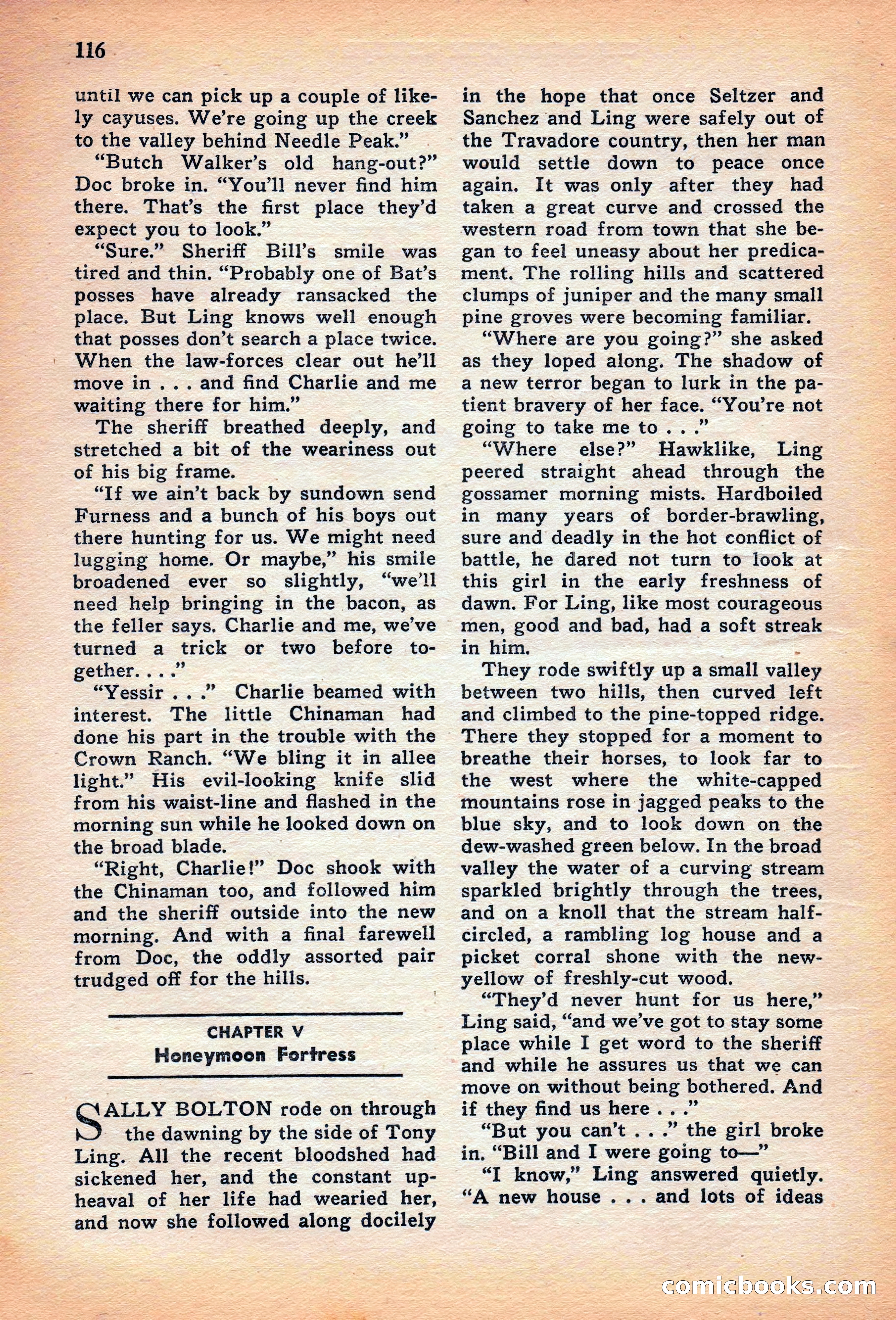 West (British edition) — page 118 of 133