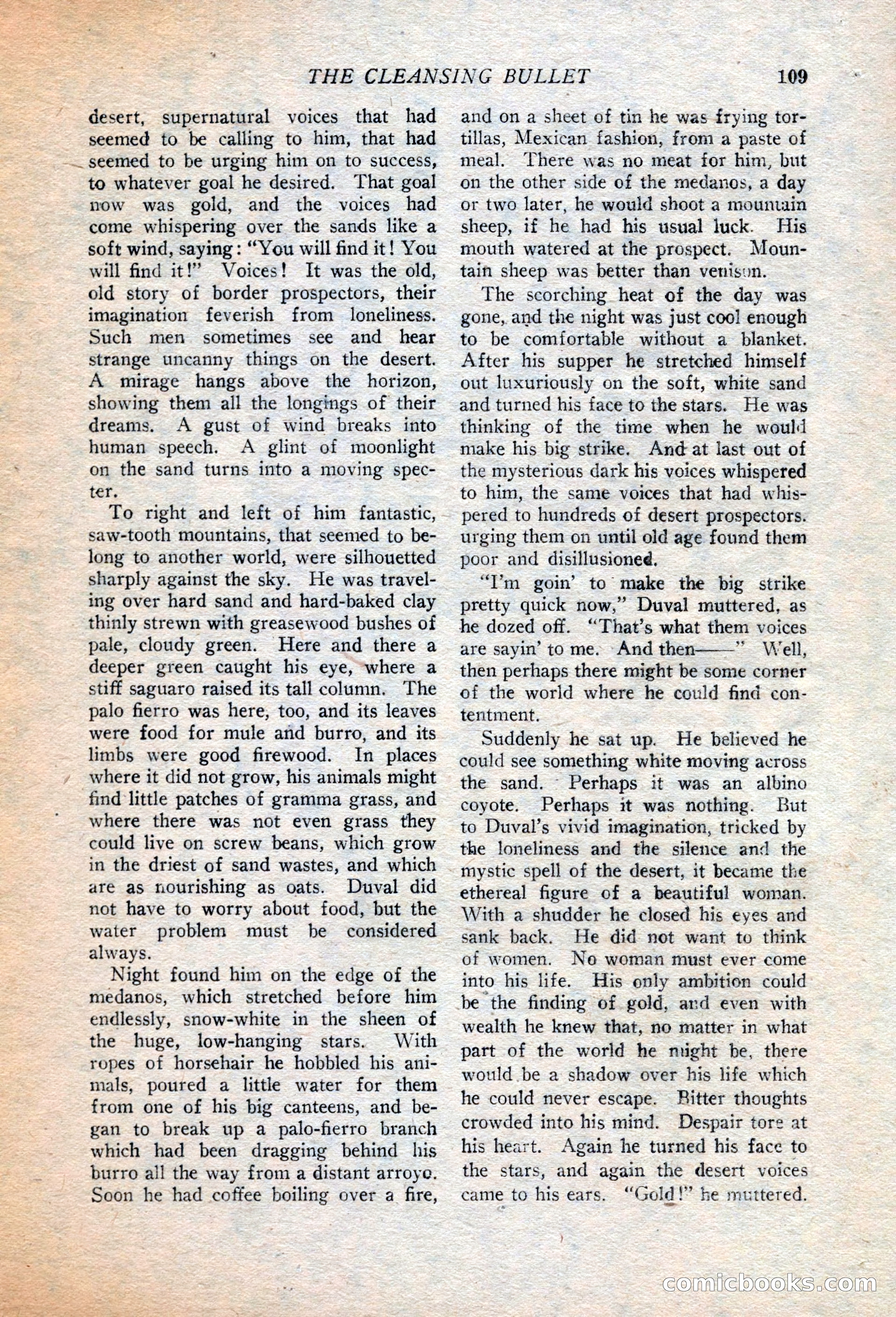 Western Story Magazine, July 14, 1923 — page 111 of 149