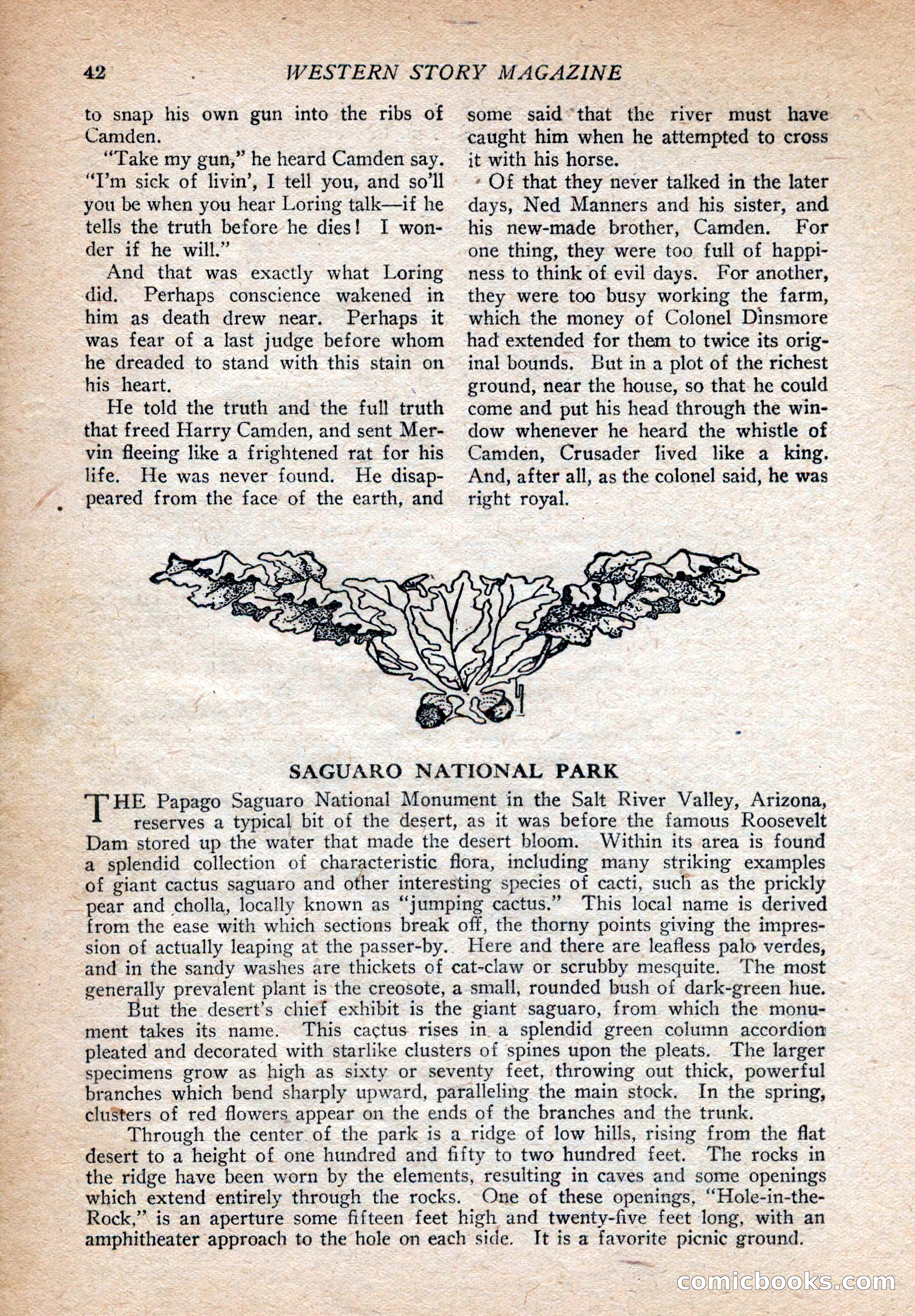 Western Story Magazine, August 9, 1924 — page 44 of 148