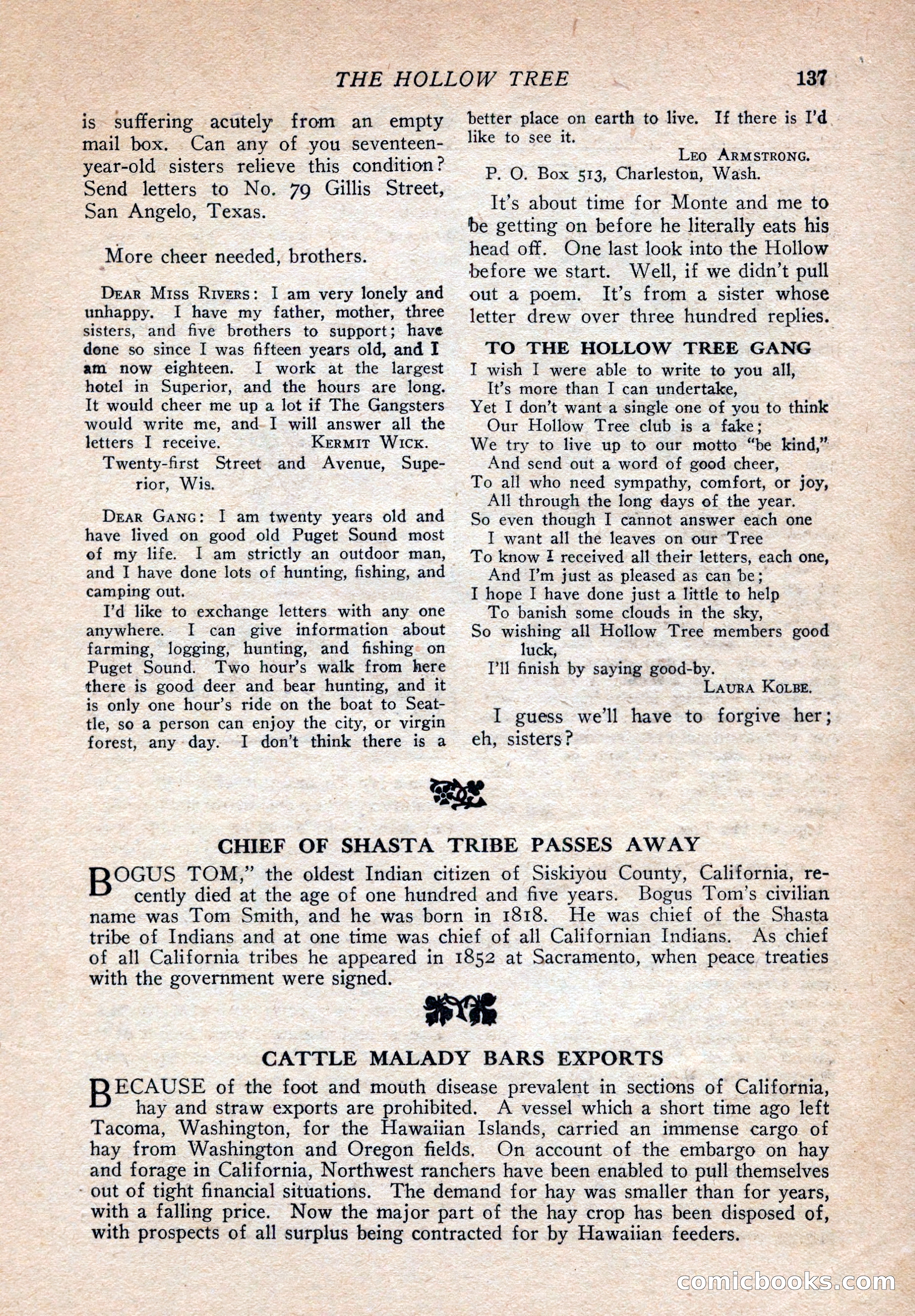 Western Story Magazine, August 9, 1924 — page 139 of 148